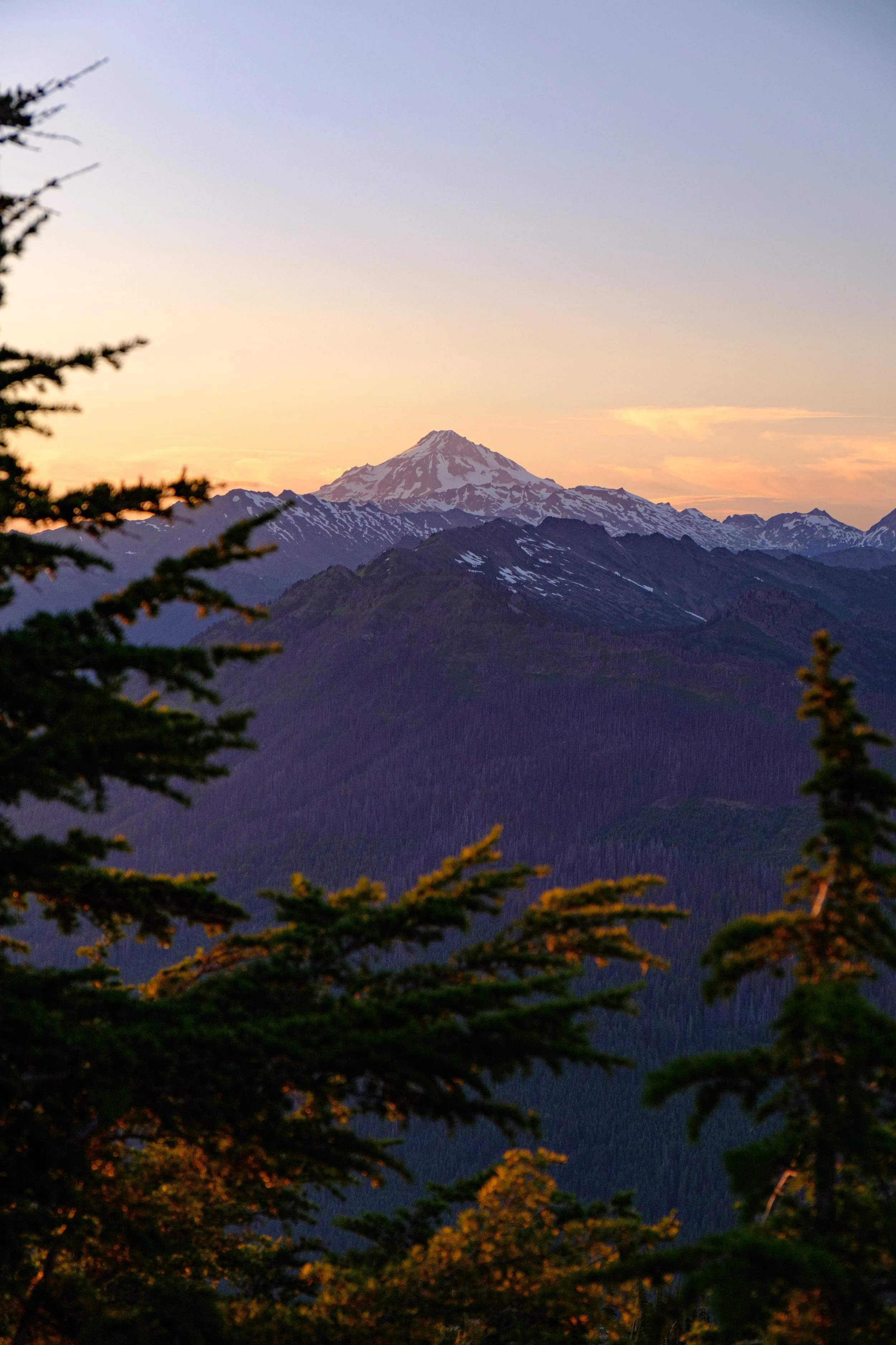 Sunset over snow-capped mountain peaks, with green pine trees in the foreground.