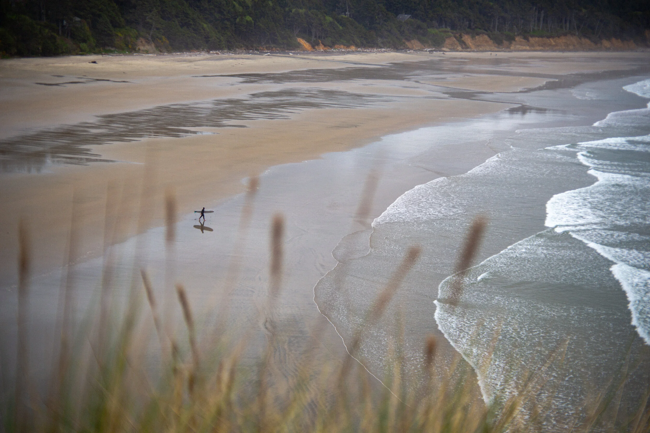 A person walking with a surfboard on a sandy beach near the Pacific Ocean on the Oregon Coast, with waves gently crashing onto the shore, viewed from behind some grass and overlooking the water. 