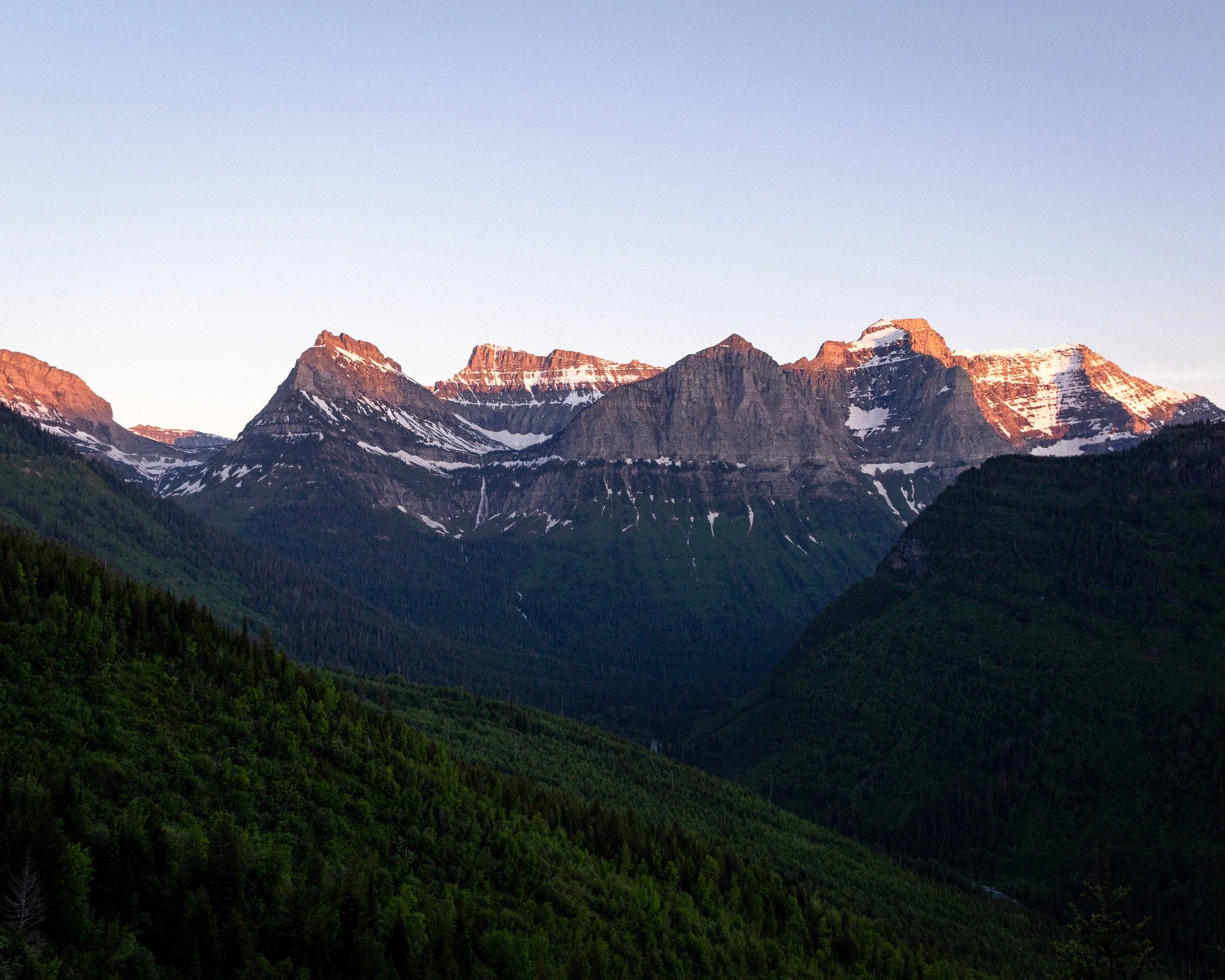 Mountain range with snow-capped peaks and dense green forested slopes in the foreground during sunset.