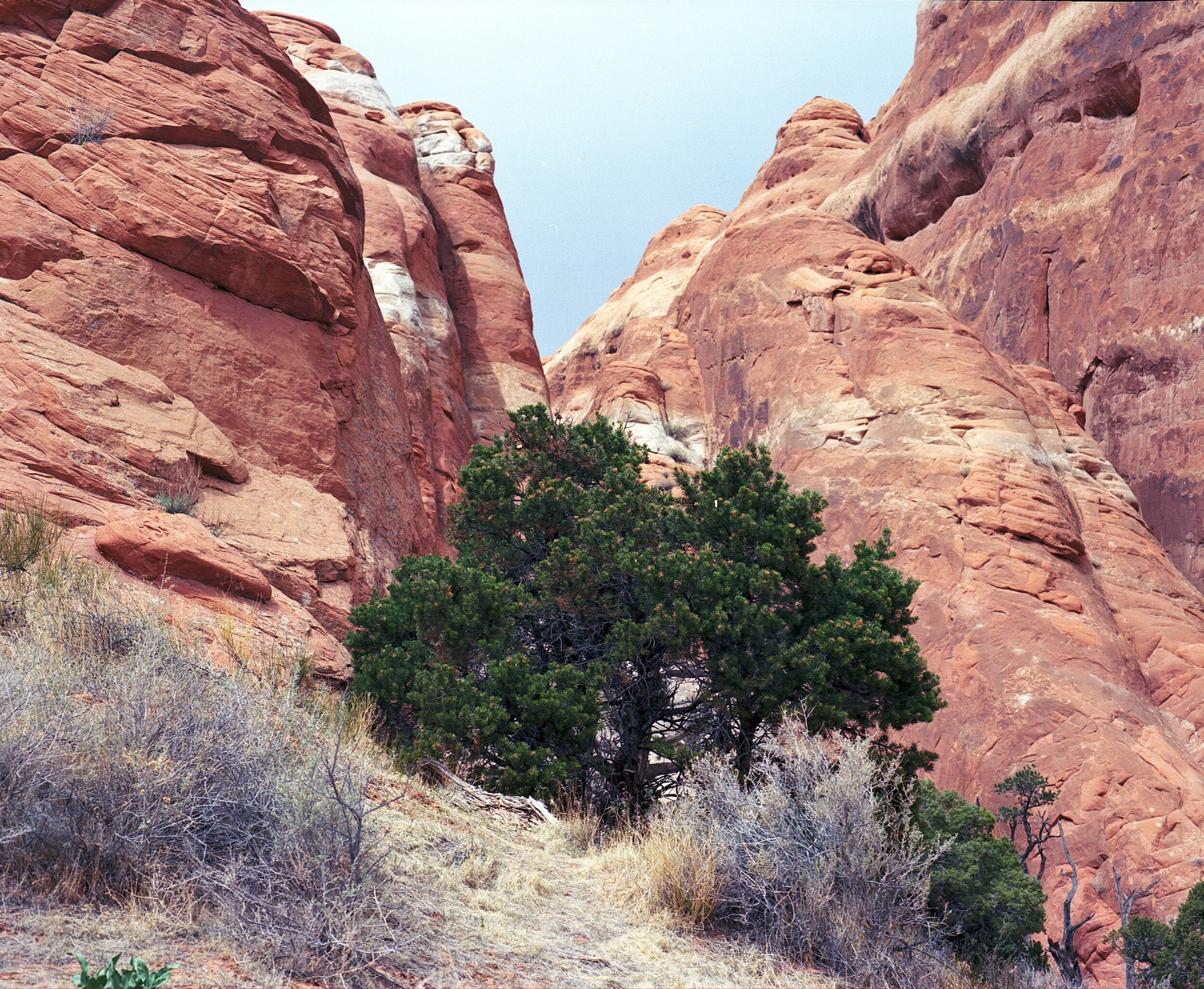 Arches National Park (5) (4).jpg