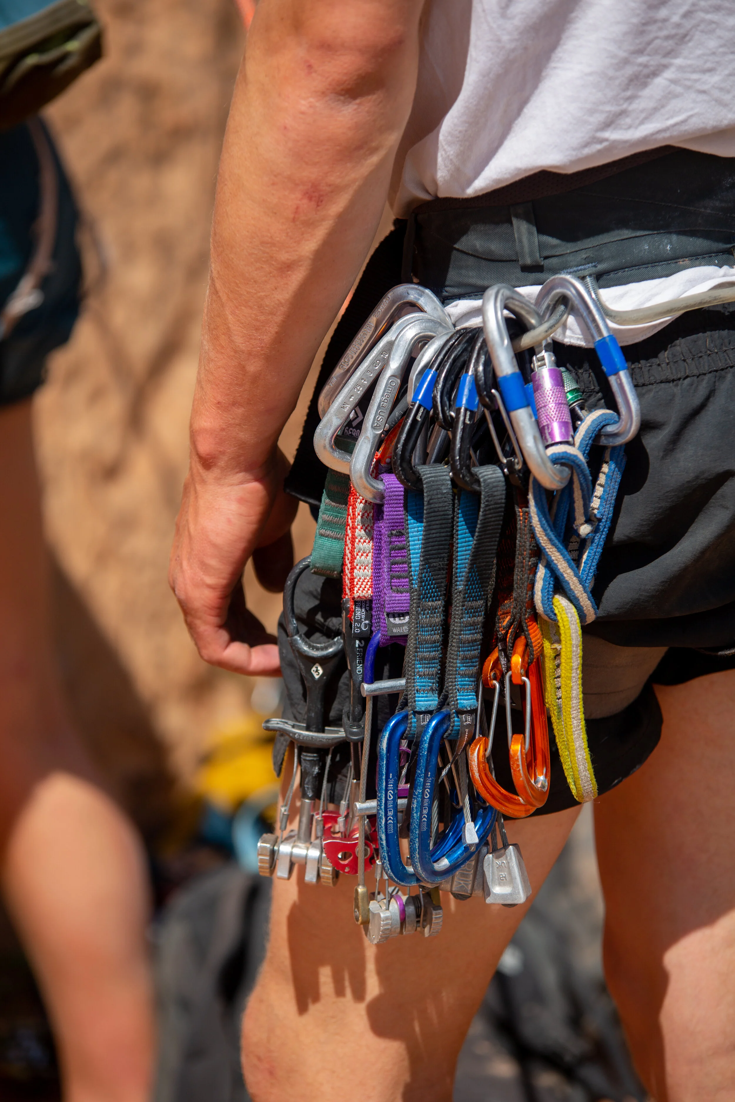 Climber's harness with various carabiners and climbing gear attached at an outdoor rock climbing location.