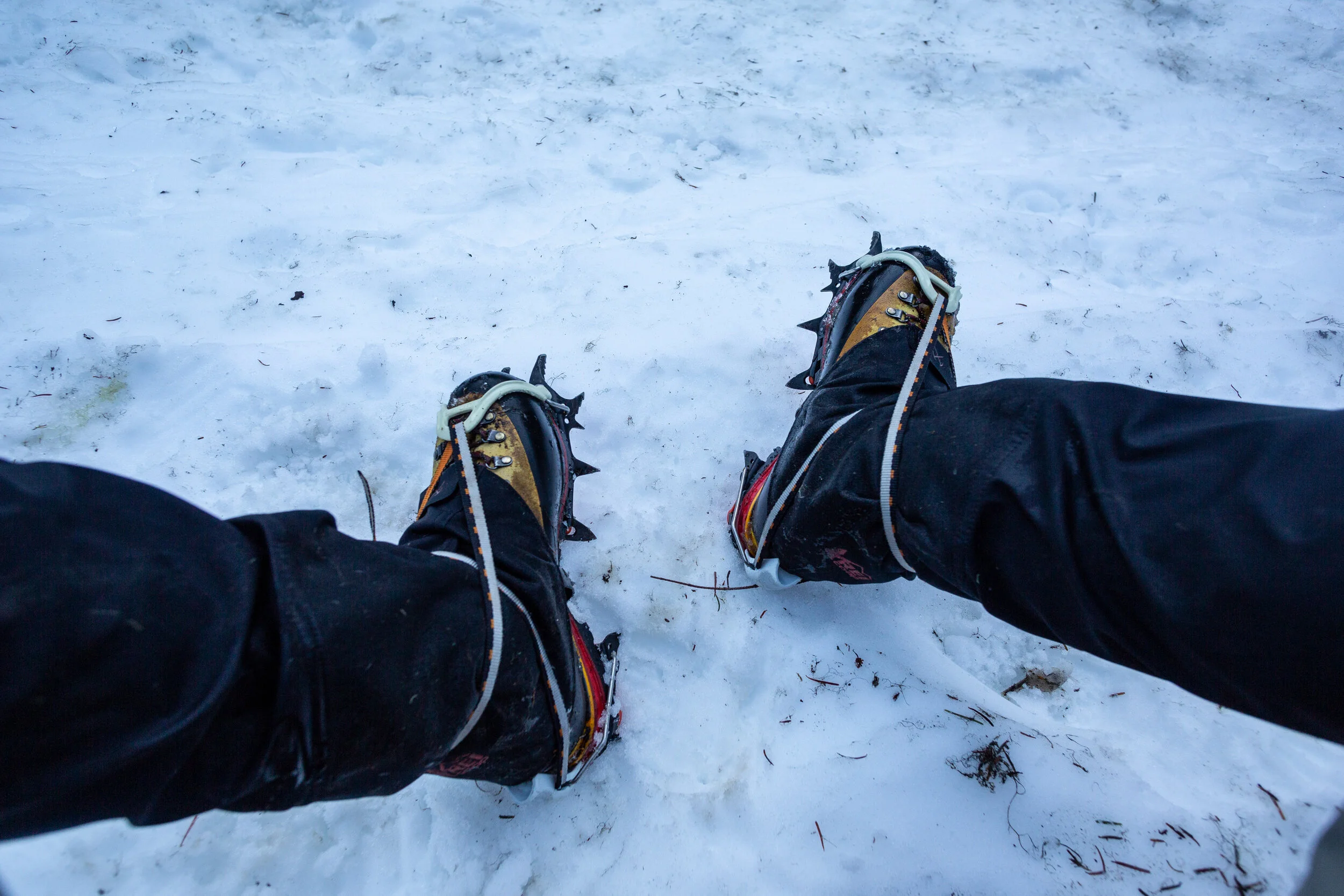 Looking down at a person's legs wearing snowshoes on snow-covered ground.