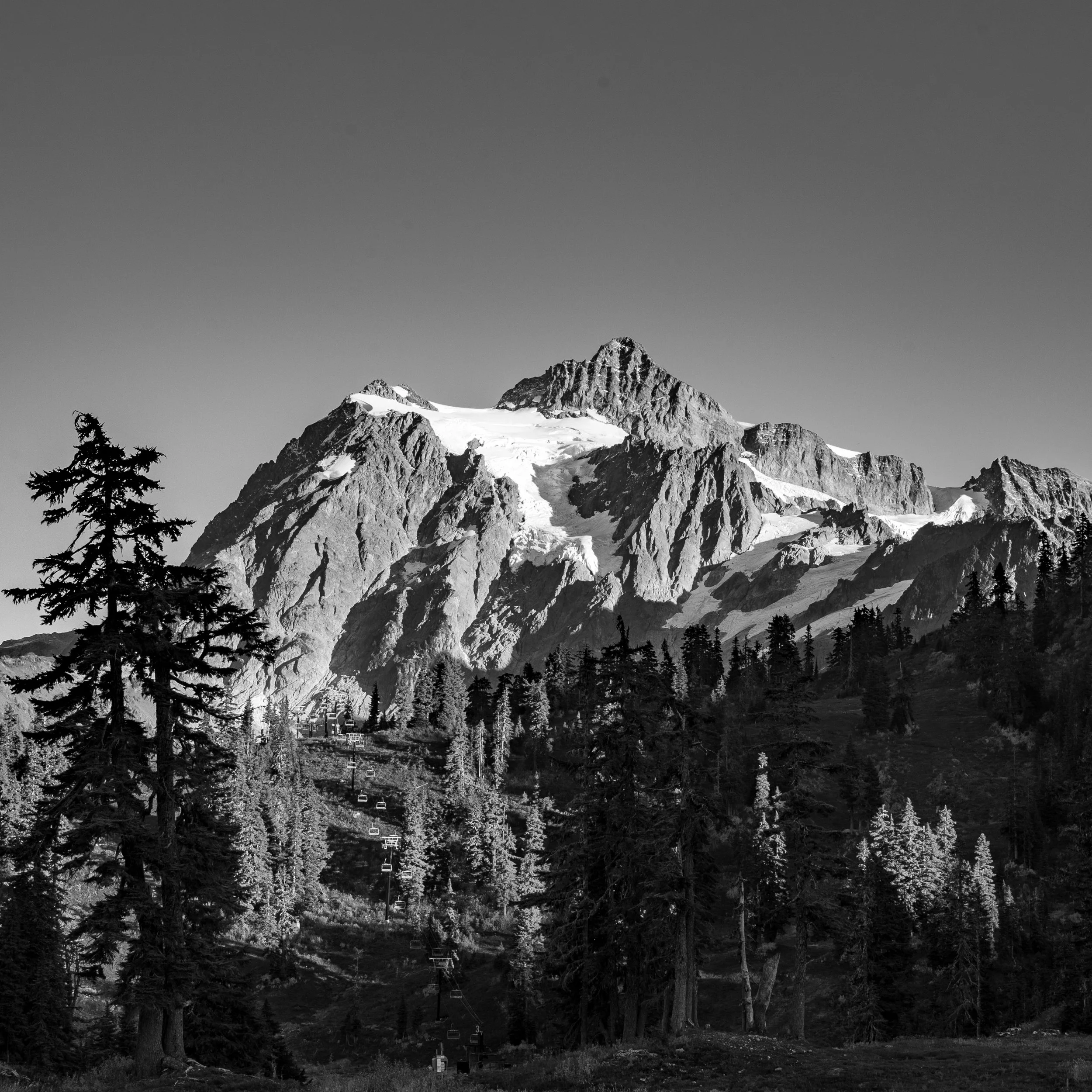 Black and white photo of a tall mountain with snow on its peaks, surrounded by evergreen trees, with a clear sky in the background.