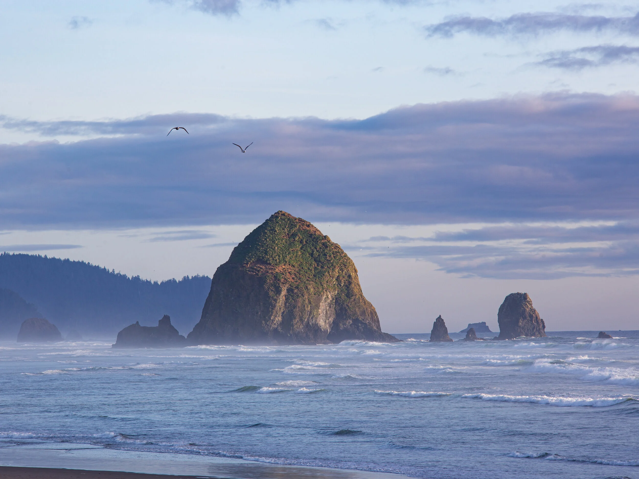 Ocean with large rocky islands and seagulls flying in sky, overcast weather at the coast.