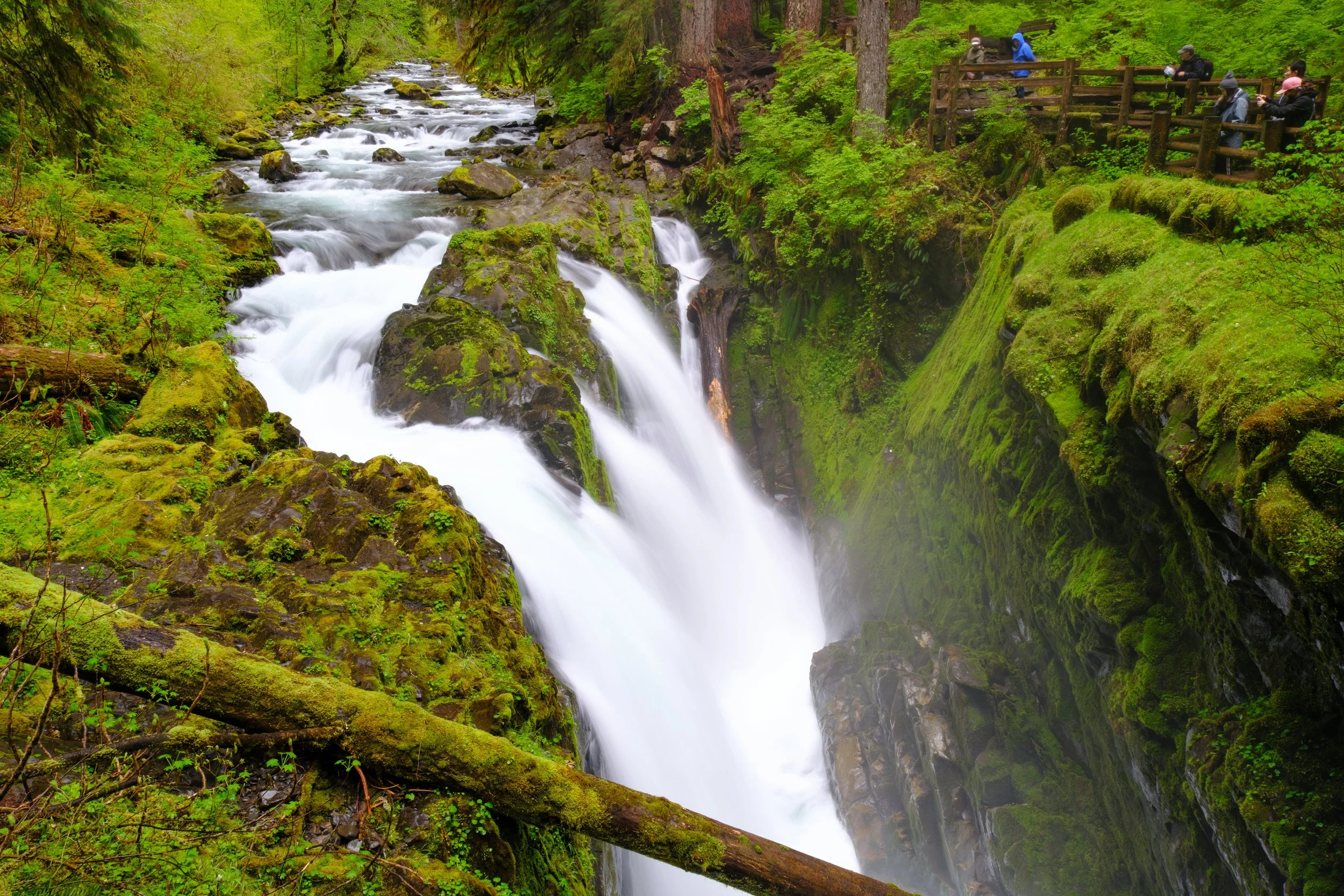 A waterfall flowing through a moss-covered rocky landscape in a lush green forest with visitors on a viewing platform.