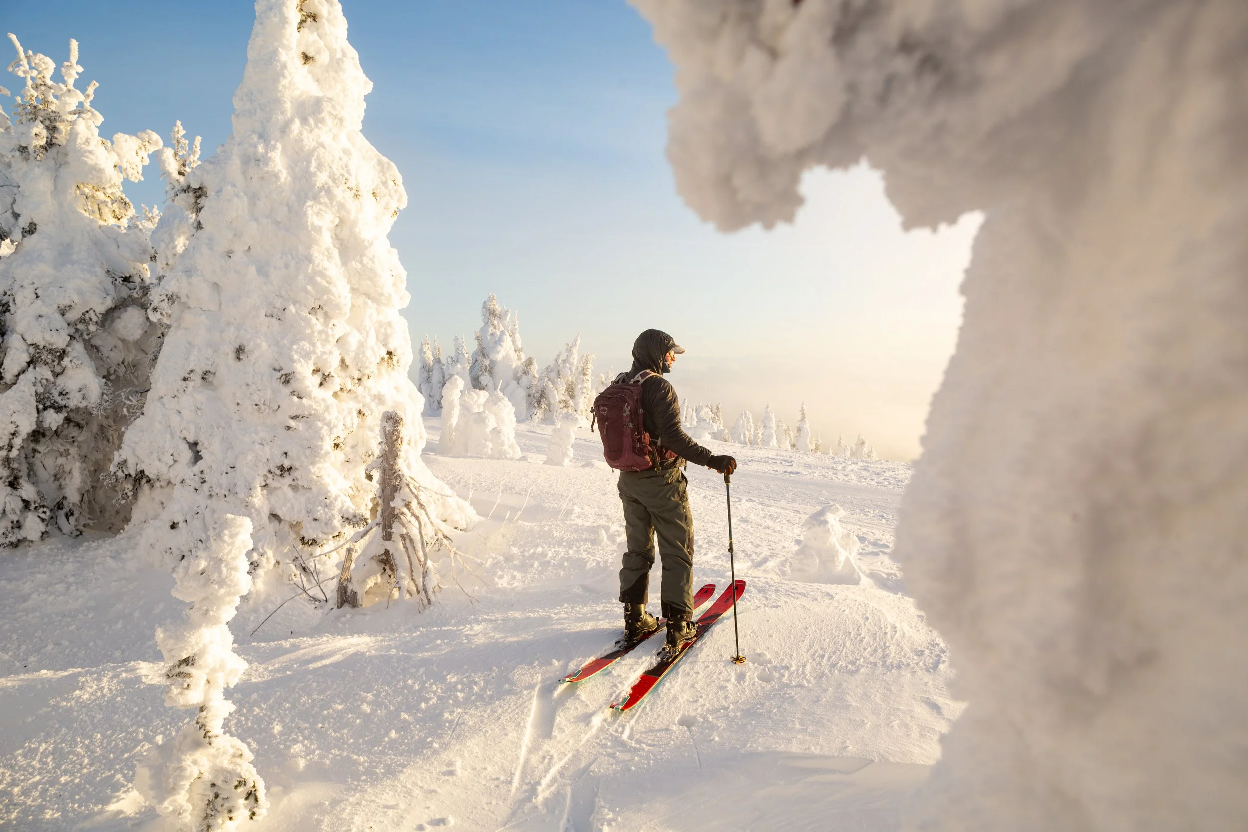 A person skiing in a snow-covered forest with snow-laden trees, wearing winter gear and carrying a backpack, under a clear sky.