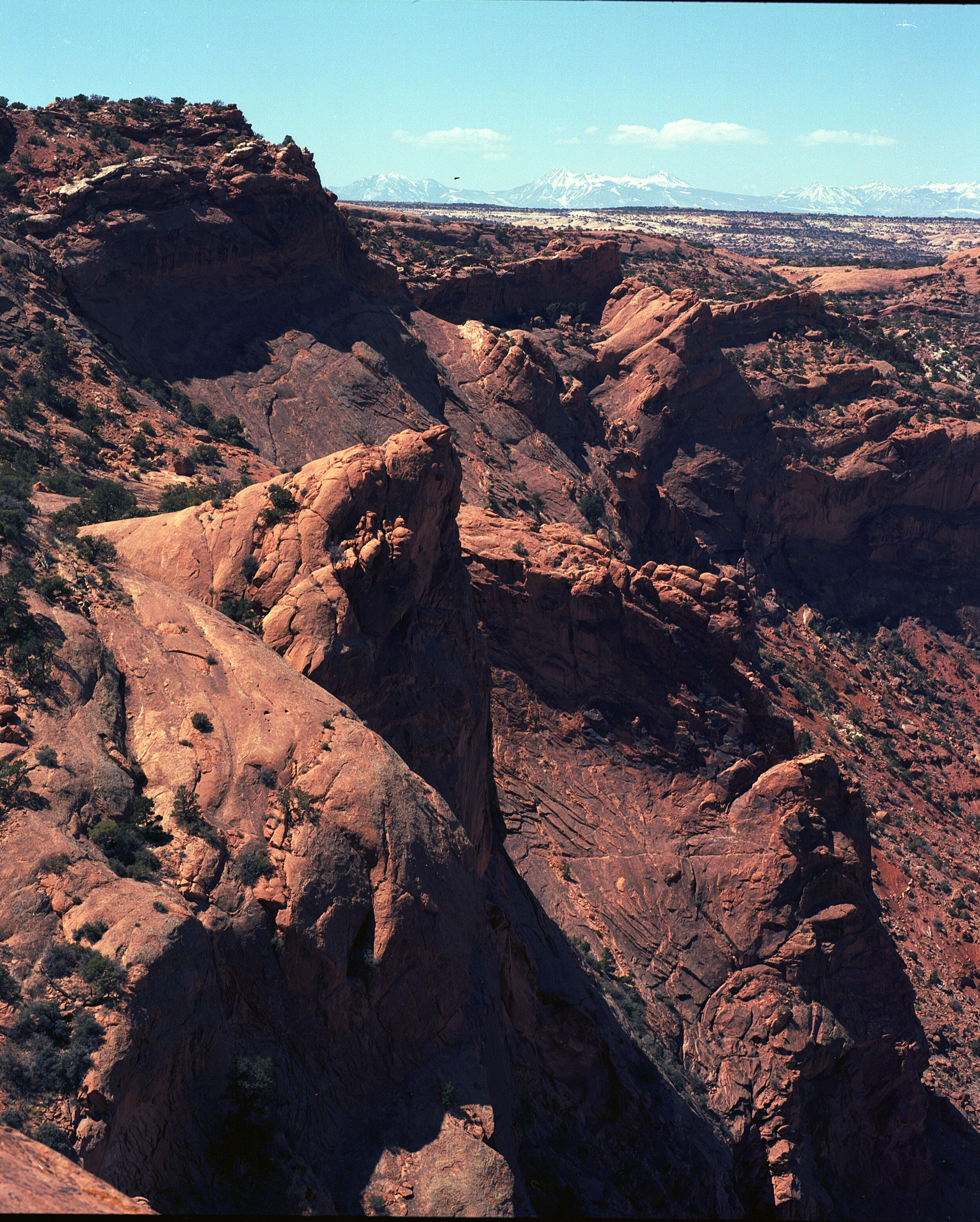 Canyonlands National Park (5) (4).jpg