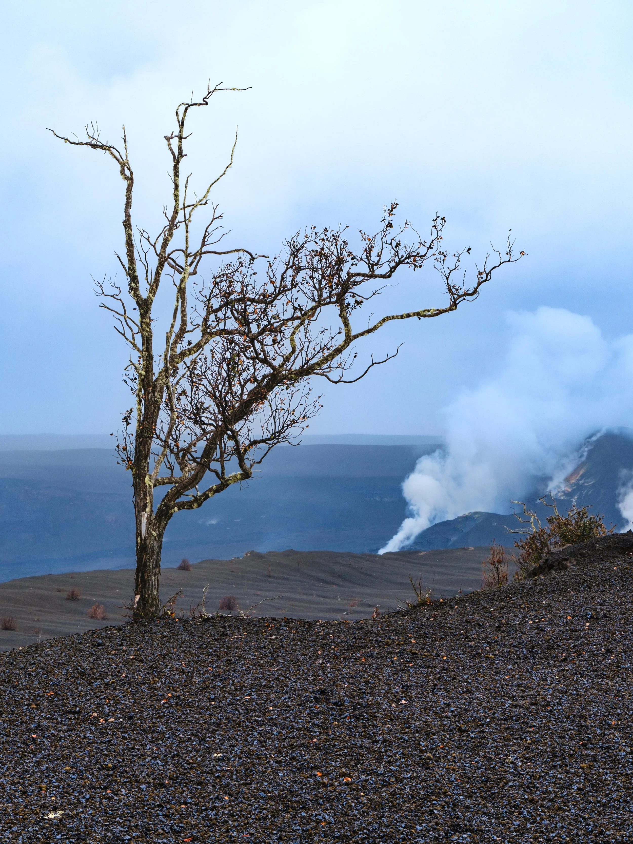 Hawaii Big Island Apr. 2026 pt2 -62.jpg