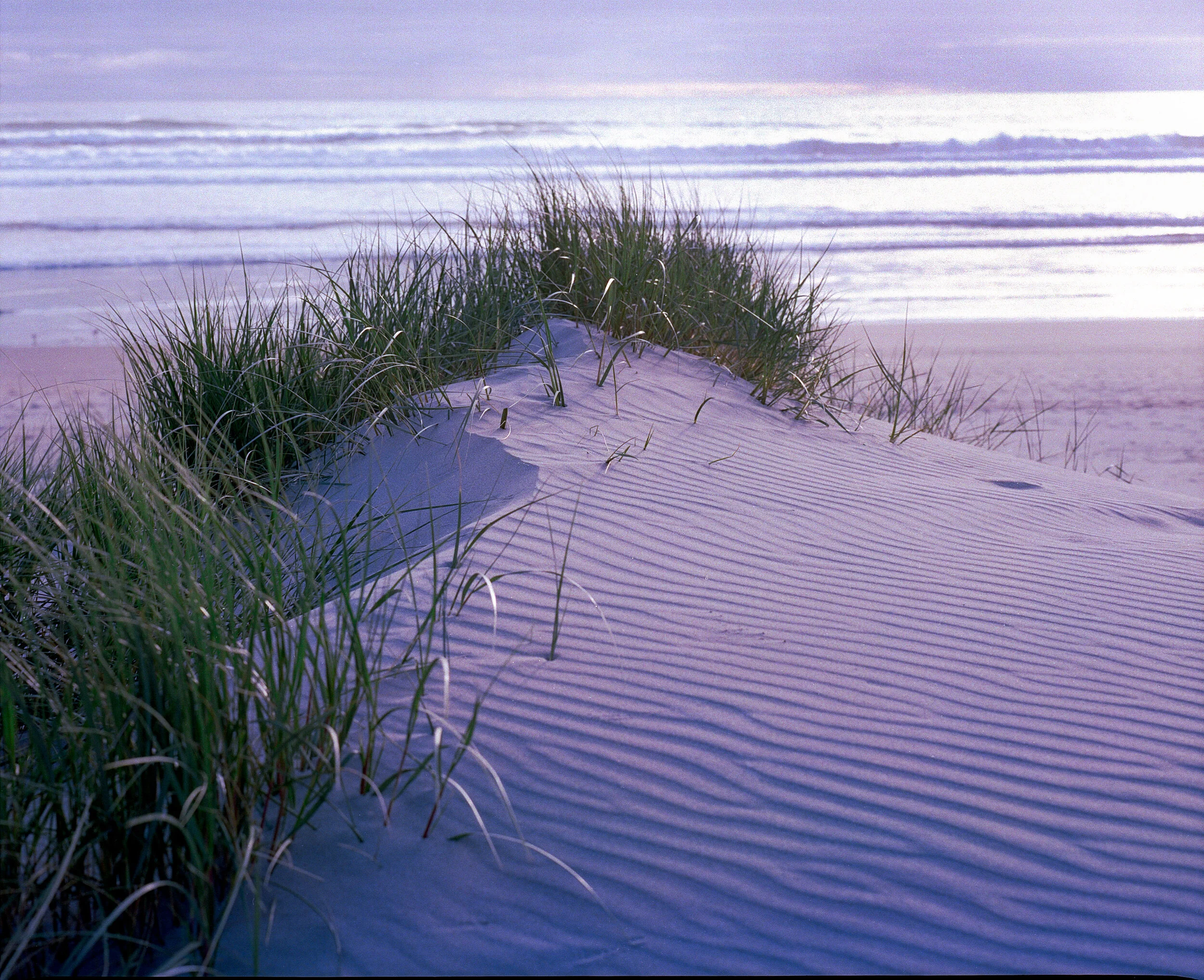 Film Scans--9-Edit.jpg