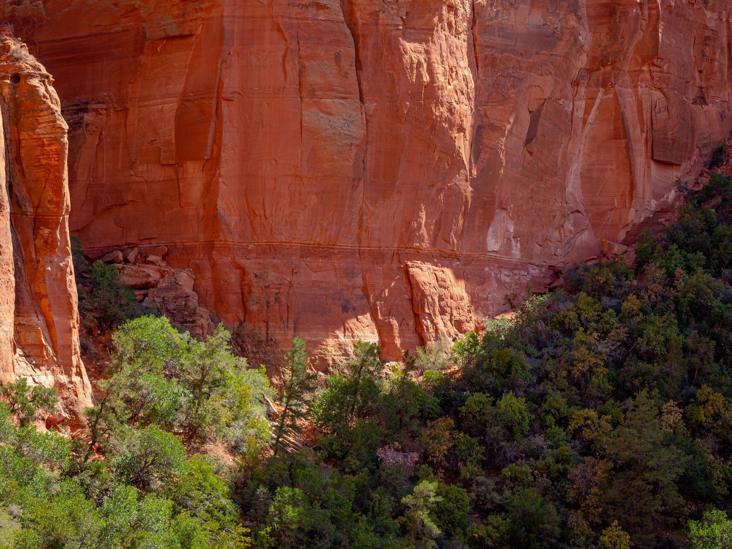Catheadral Rock in Sedona, Arizona.