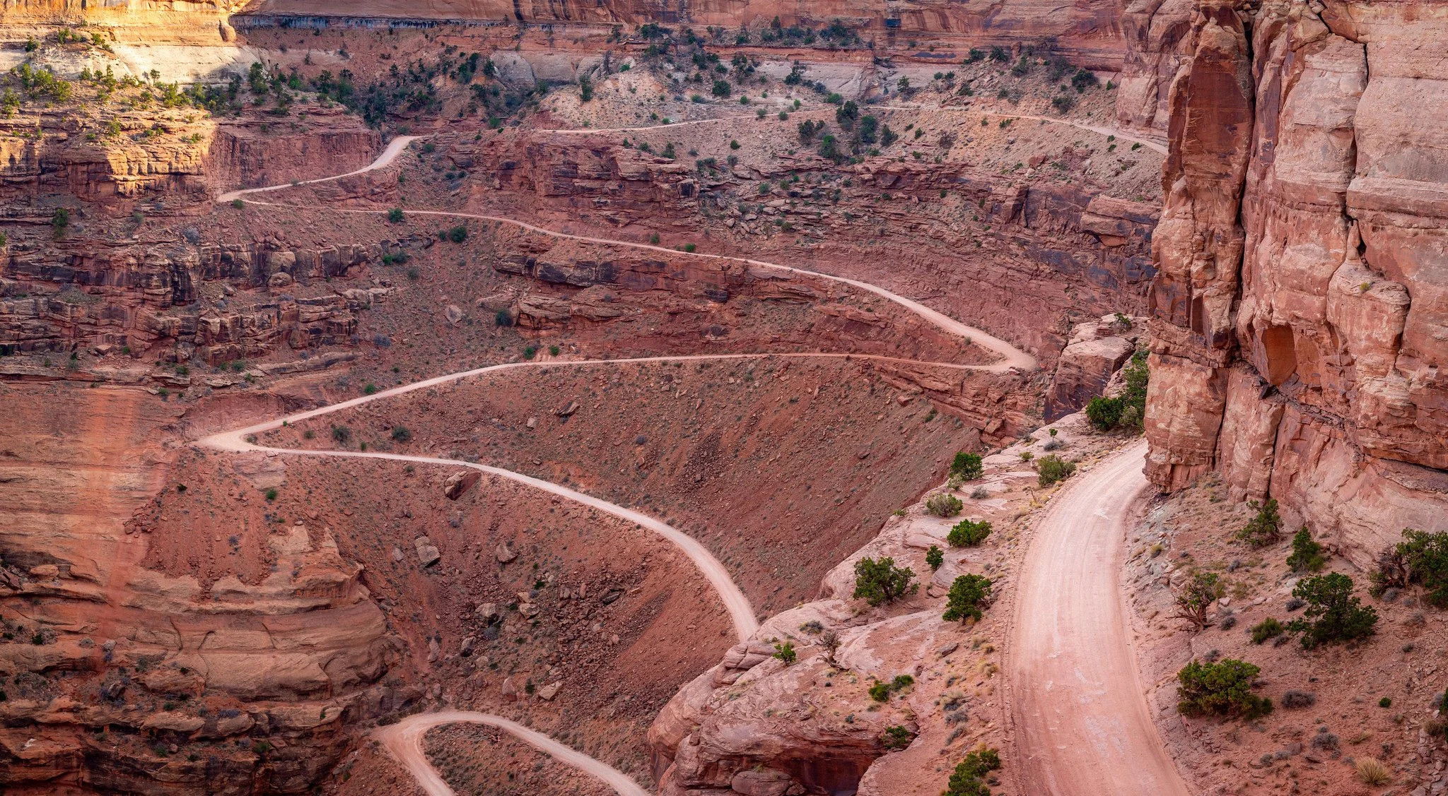 Winding dirt road through a red rock canyon with sparse desert vegetation.