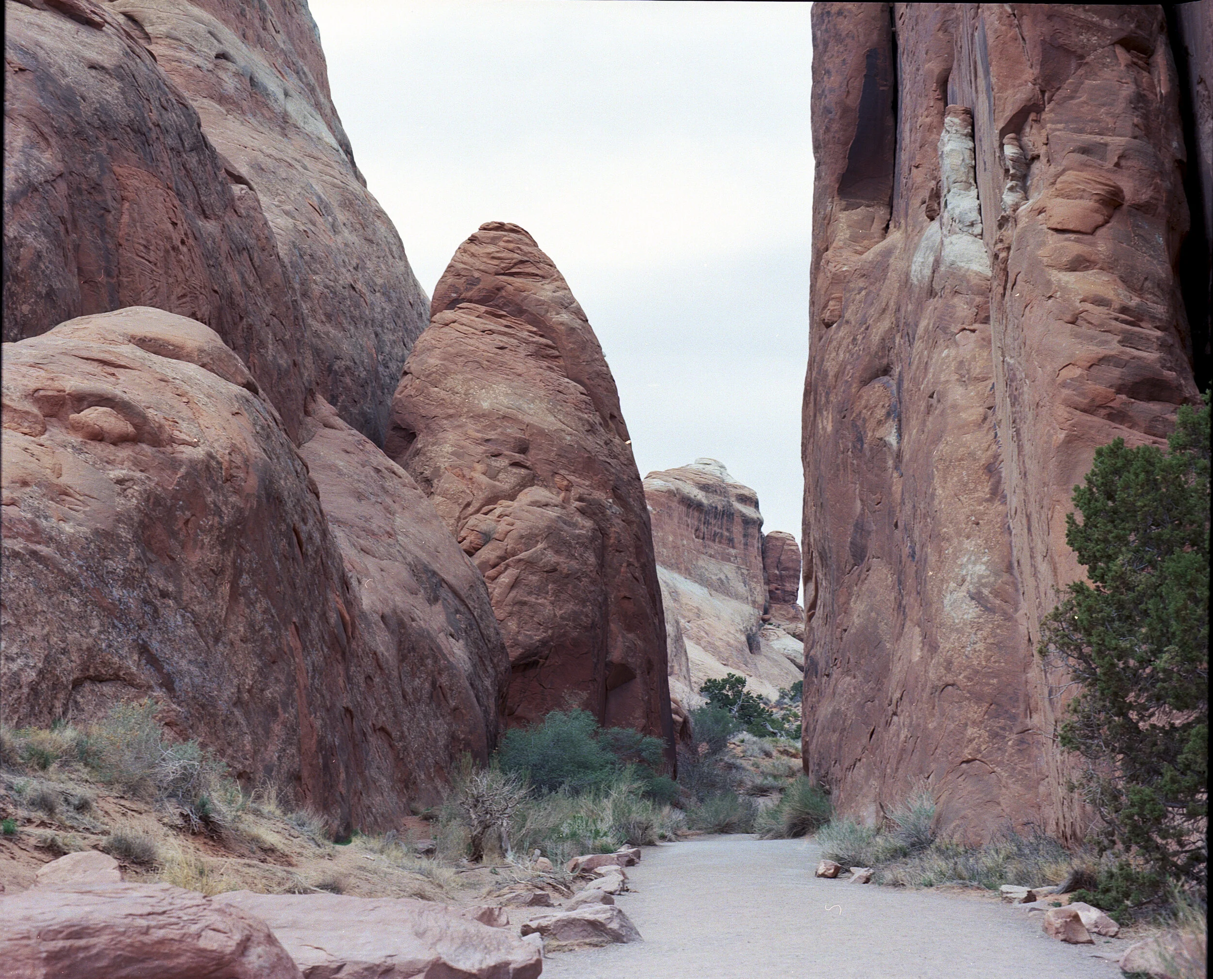 Arches National Park (5) (3).jpg