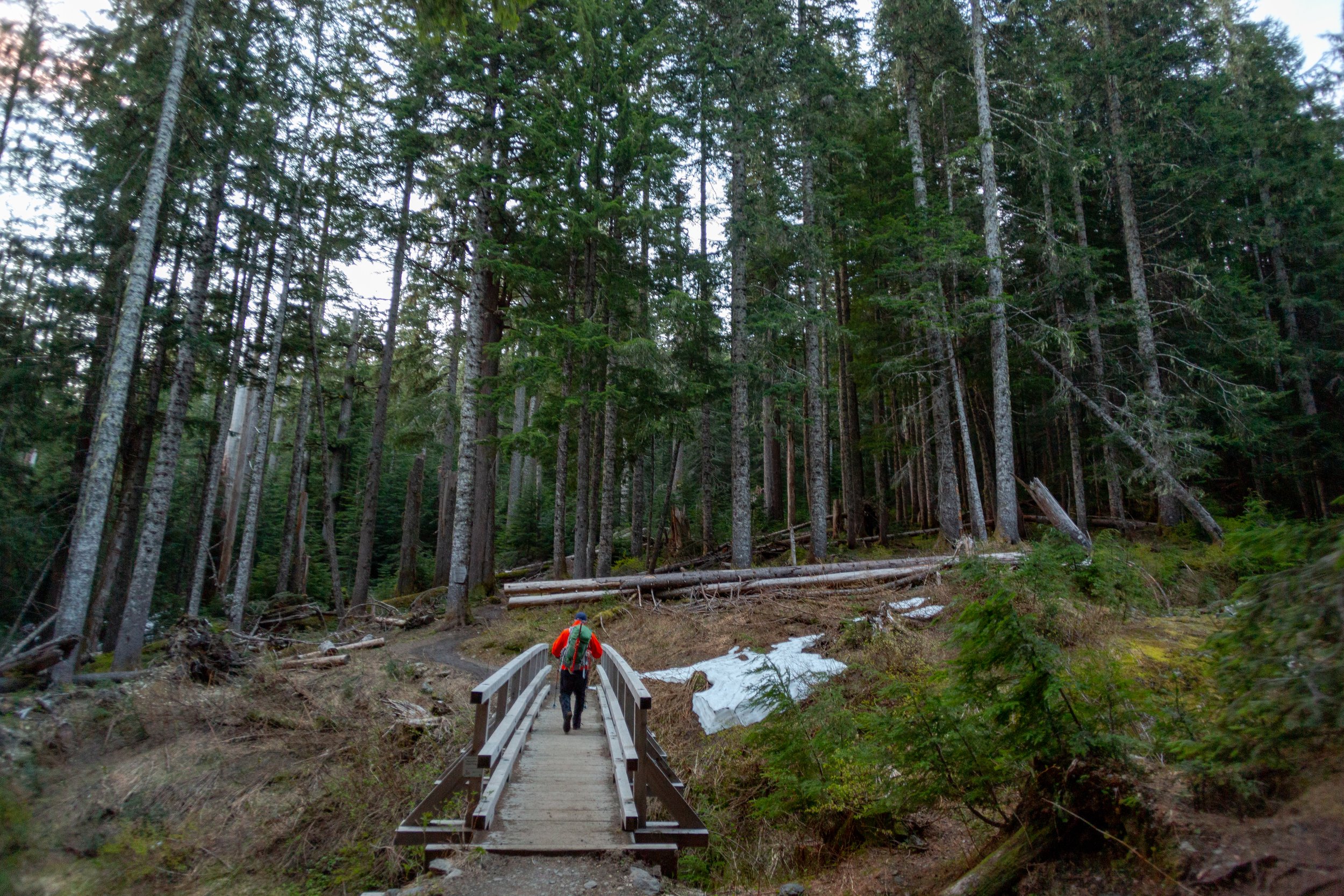 Hiker crossing a small wooden bridge in a dense forest with tall pine trees and patches of snow on the ground.