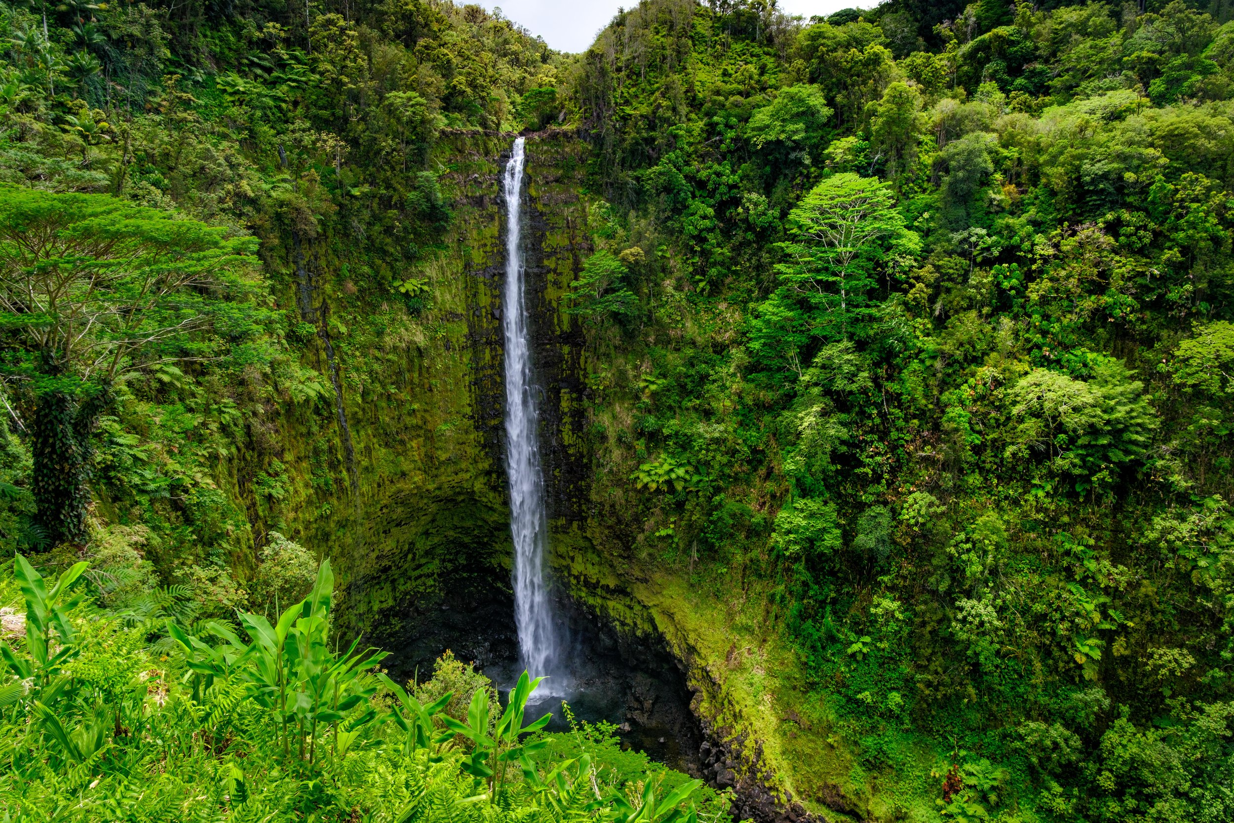 Hawaii Big Island Apr. 2026 pt1-33.jpg