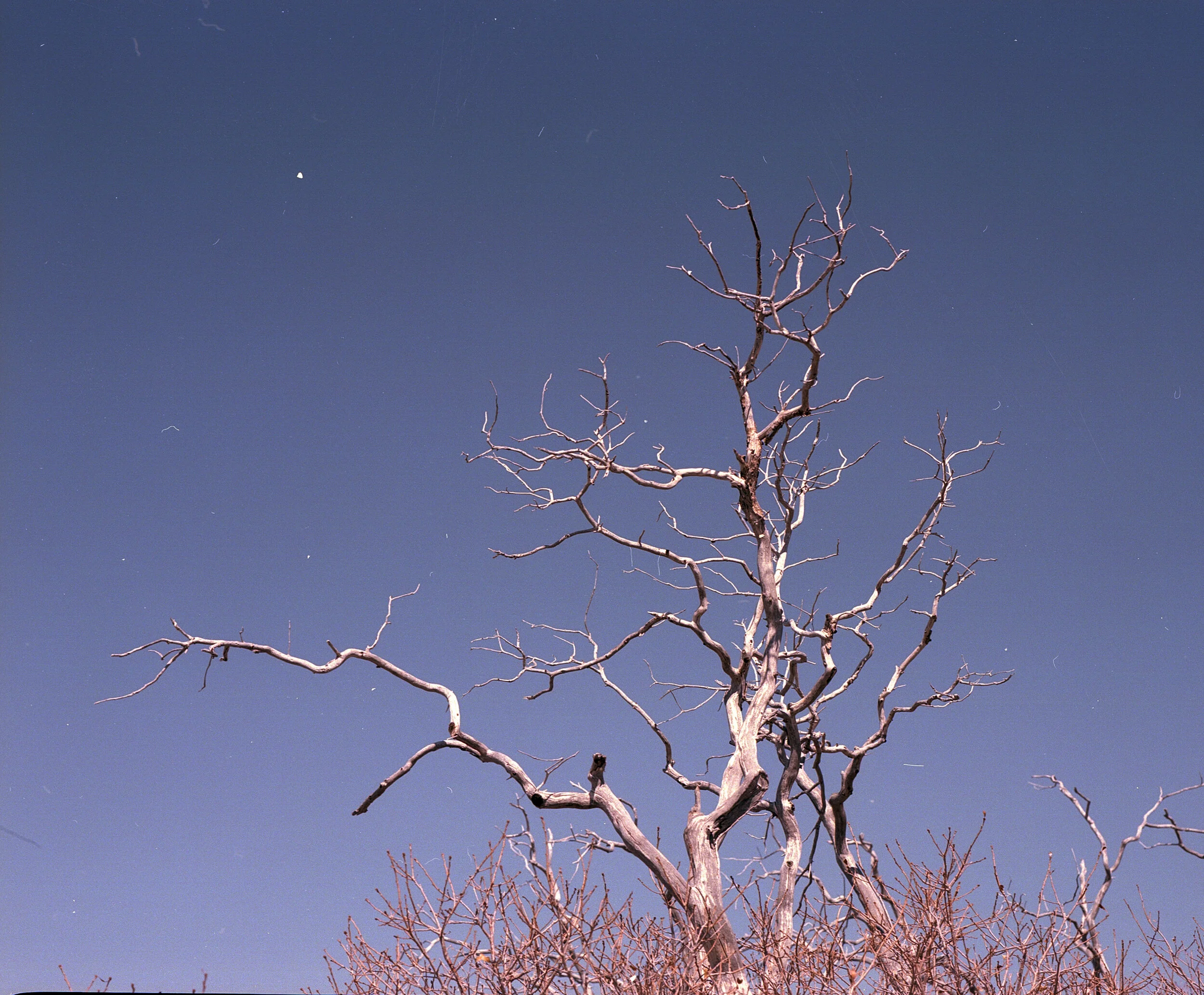 Arches National Park (588).jpg