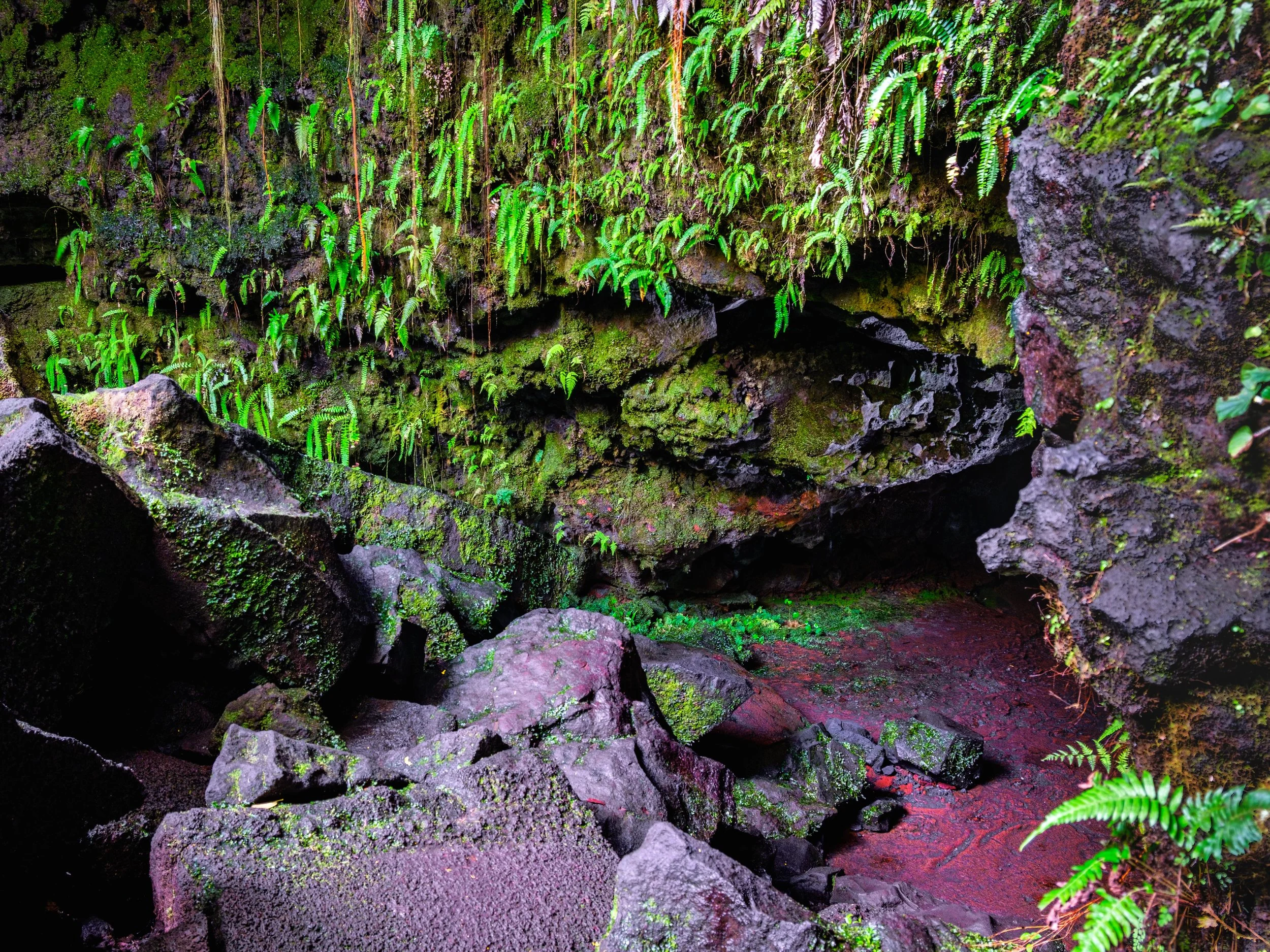 Hawaii Big Island Apr. 2026 pt1-128-HDR.jpg