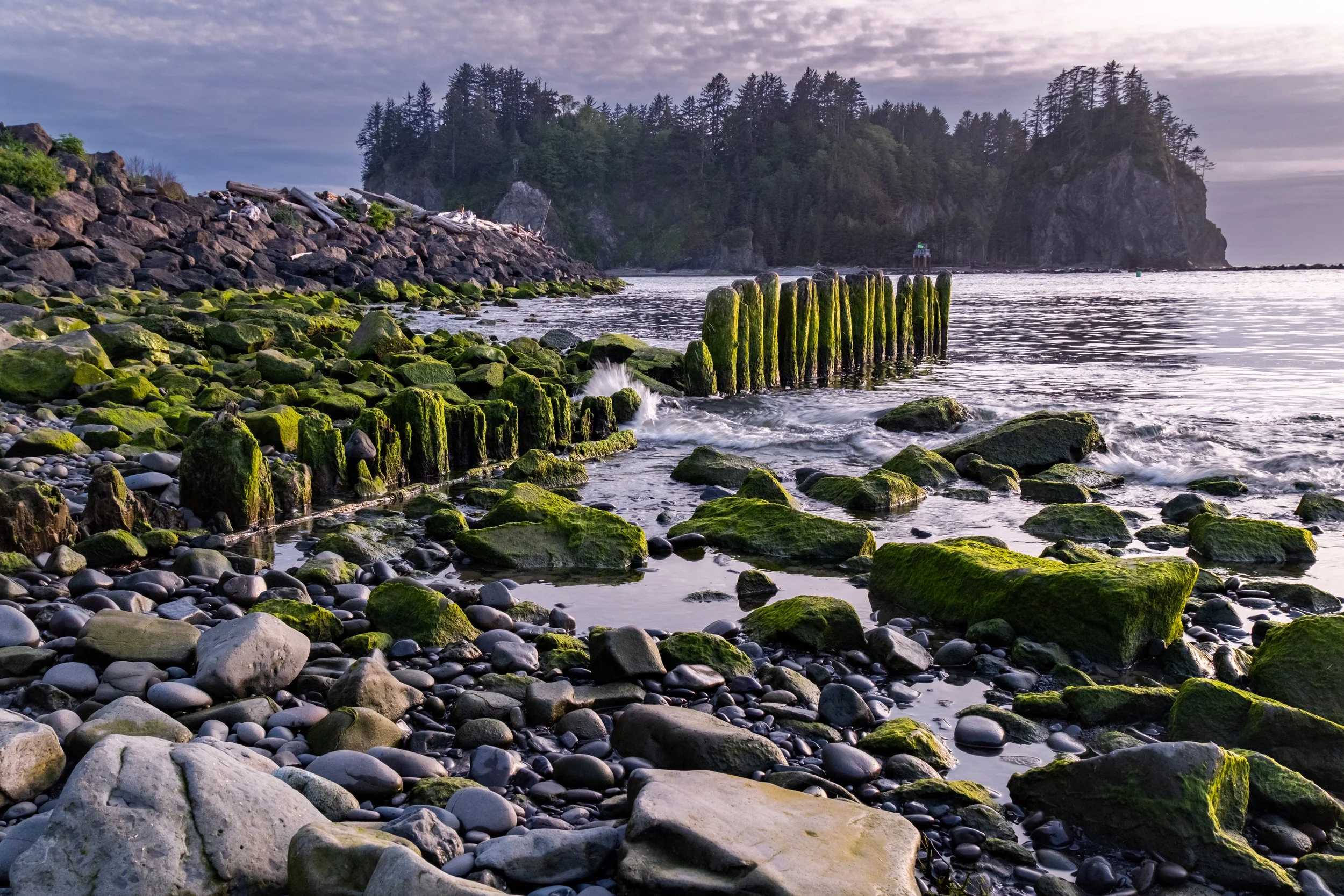 Rocky shoreline with moss-covered rocks and weathered wooden posts extending into the water, with a forested hillside and sea stack in the background.