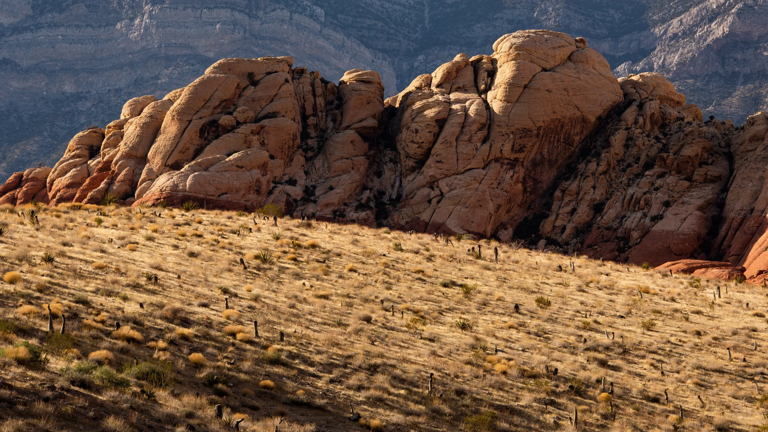 Desert landscape with large orange rock formations and sparse dry vegetation, likely in a southwestern U.S. desert.