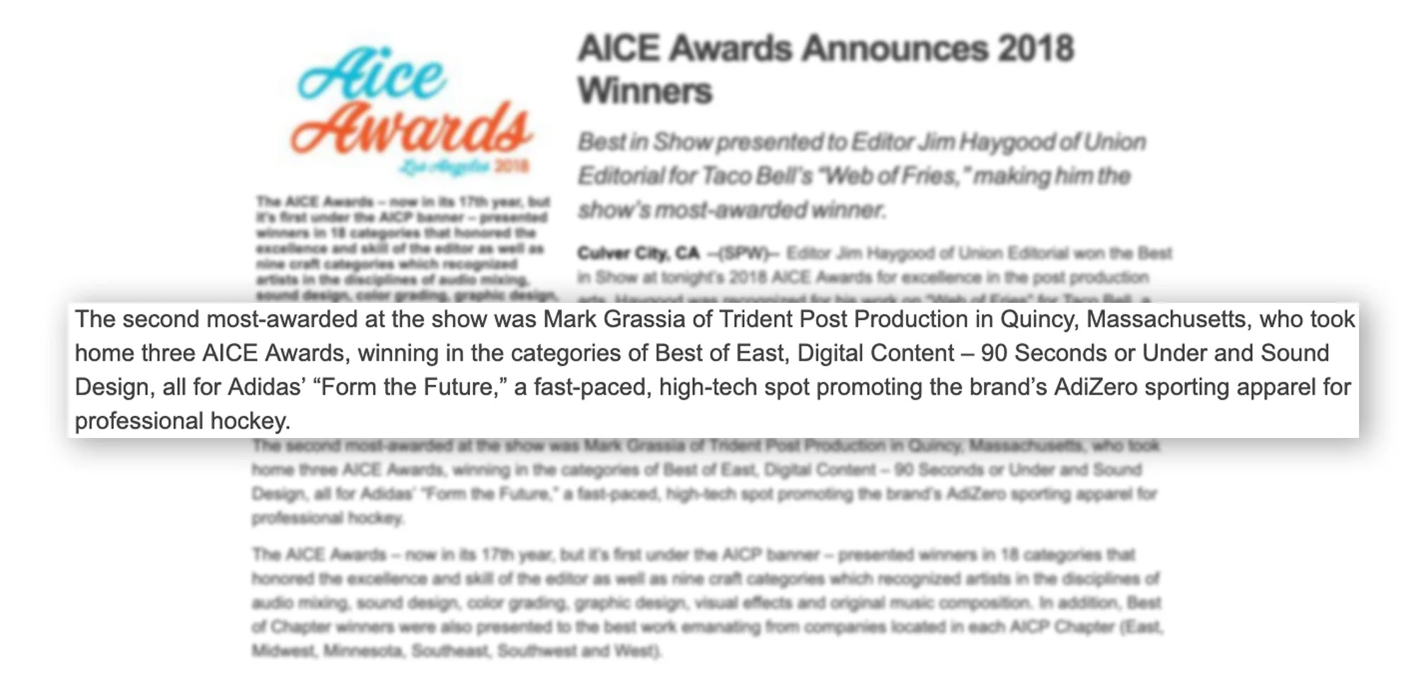 aice awards.jpg