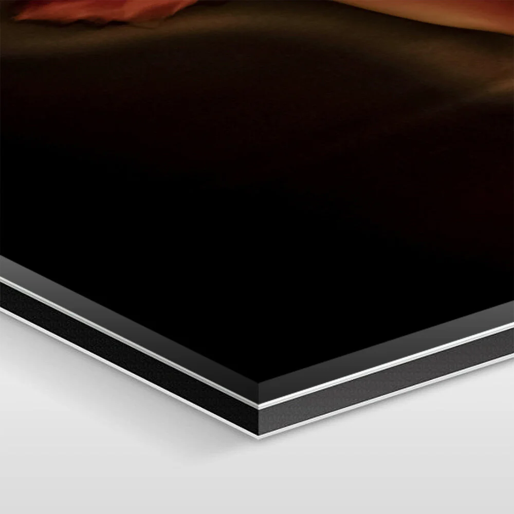 The artwork is mounted under 1/16 inch of acrylic glass, 1/8 inch of aluminum Dibond, and sealed with elastic silicone.