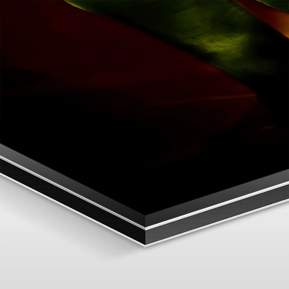 The artwork is mounted under 1/16 inch of acrylic glass, 1/8 inch of aluminum Dibond, and sealed with elastic silicone.
