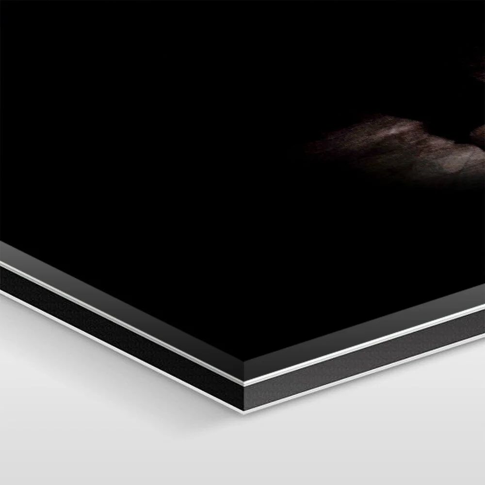 The artwork is mounted under 1/16 inch of acrylic glass, 1/8 inch of aluminum Dibond, and sealed with elastic silicone.