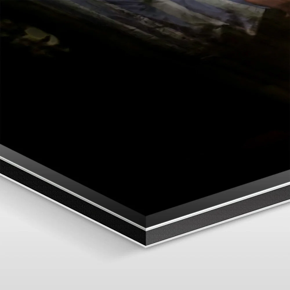 The artwork is mounted under 1/16 inch of acrylic glass, 1/8 inch of aluminum Dibond, and sealed with elastic silicone.