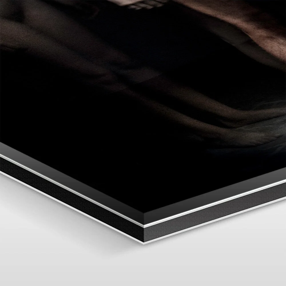 The artwork is mounted under 1/16 inch of acrylic glass, 1/8 inch of aluminum Dibond, and sealed with elastic silicone.
