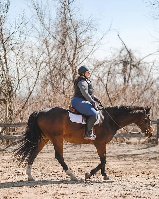 After weeks of waiting, we finally got some good news this morning! 🎉 Ax&rsquo;s OSL is healing better than expected and he&rsquo;s allowed to walk a few ground poles each day. Trotting is still a few weeks out and will only start with a couple of m
