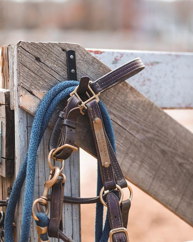 I&rsquo;m ready to hang up my halter on this week&mdash;and it&rsquo;s only Tuesday.