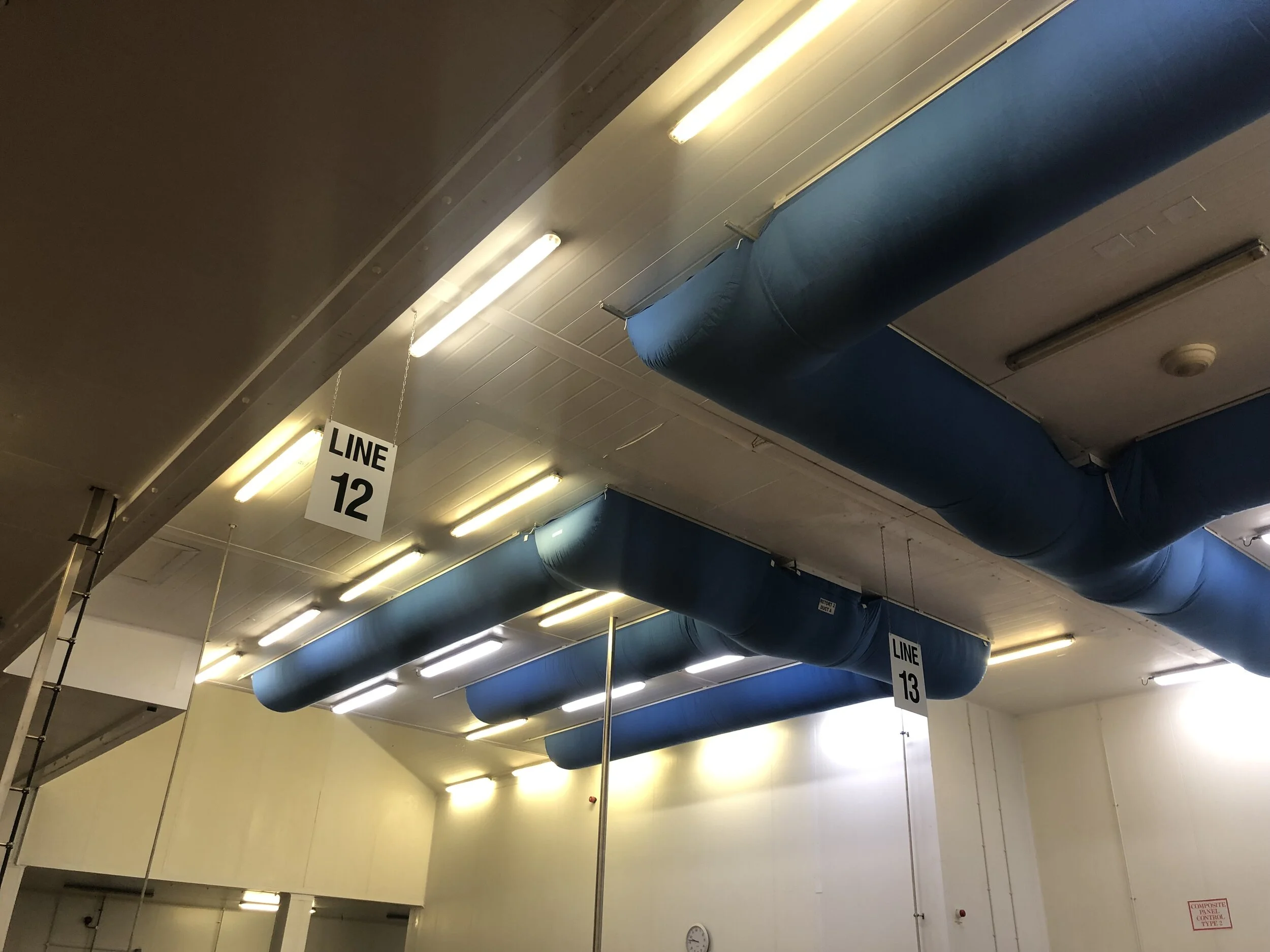 Line 12 and 13 Air Socks.JPG