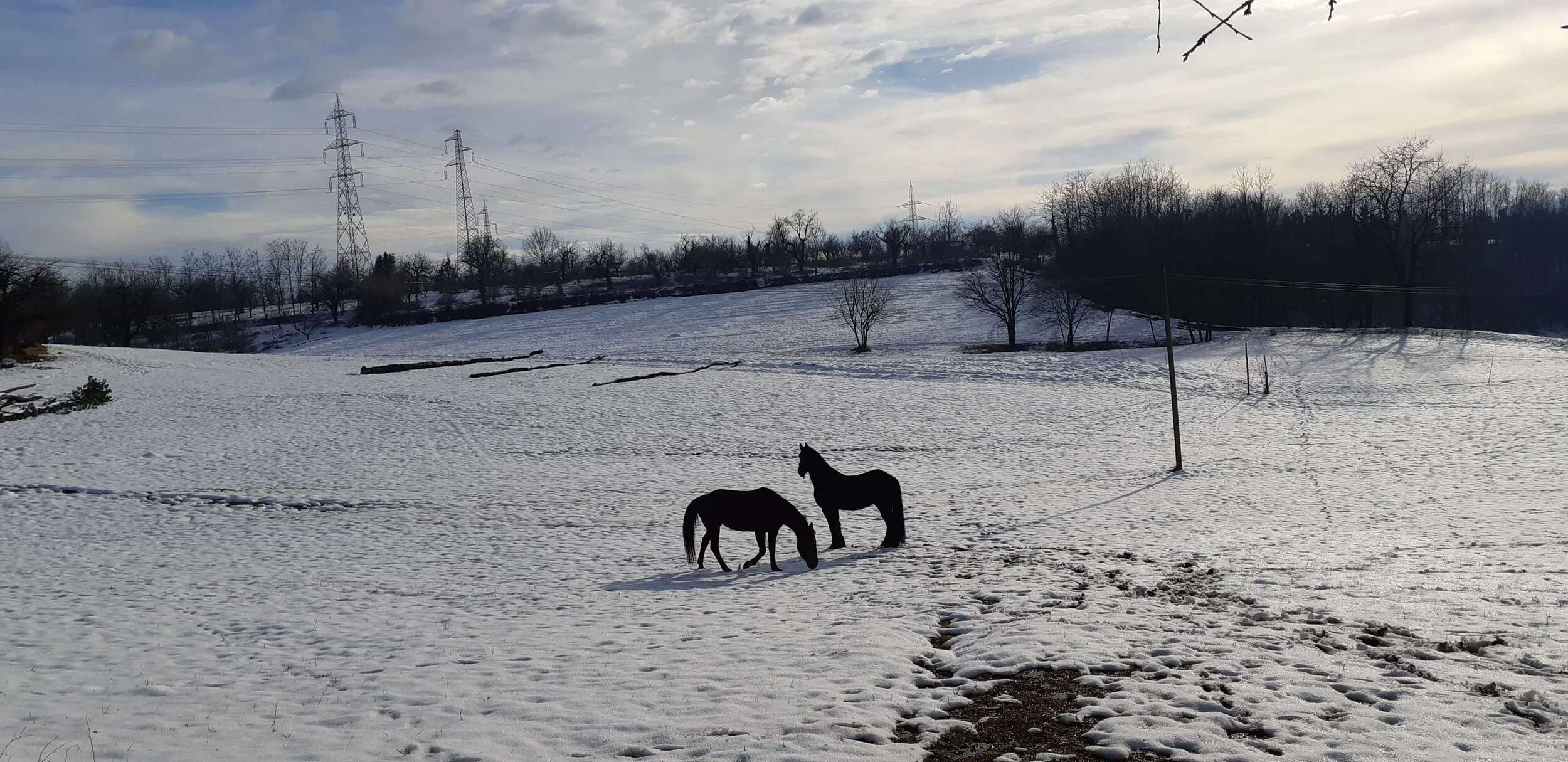 20190203_153017.jpg