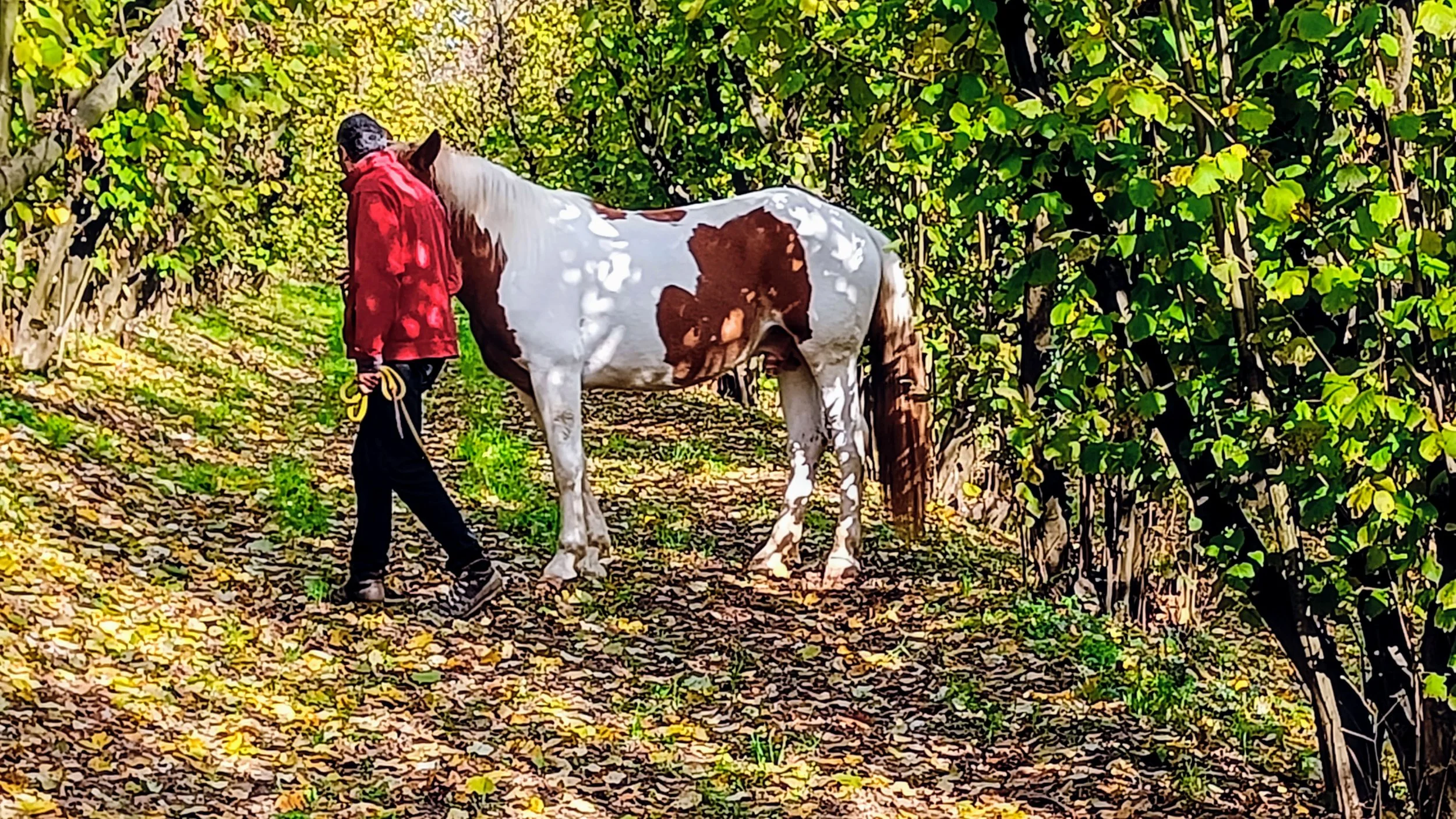 IMG20221113110250 (1).jpg