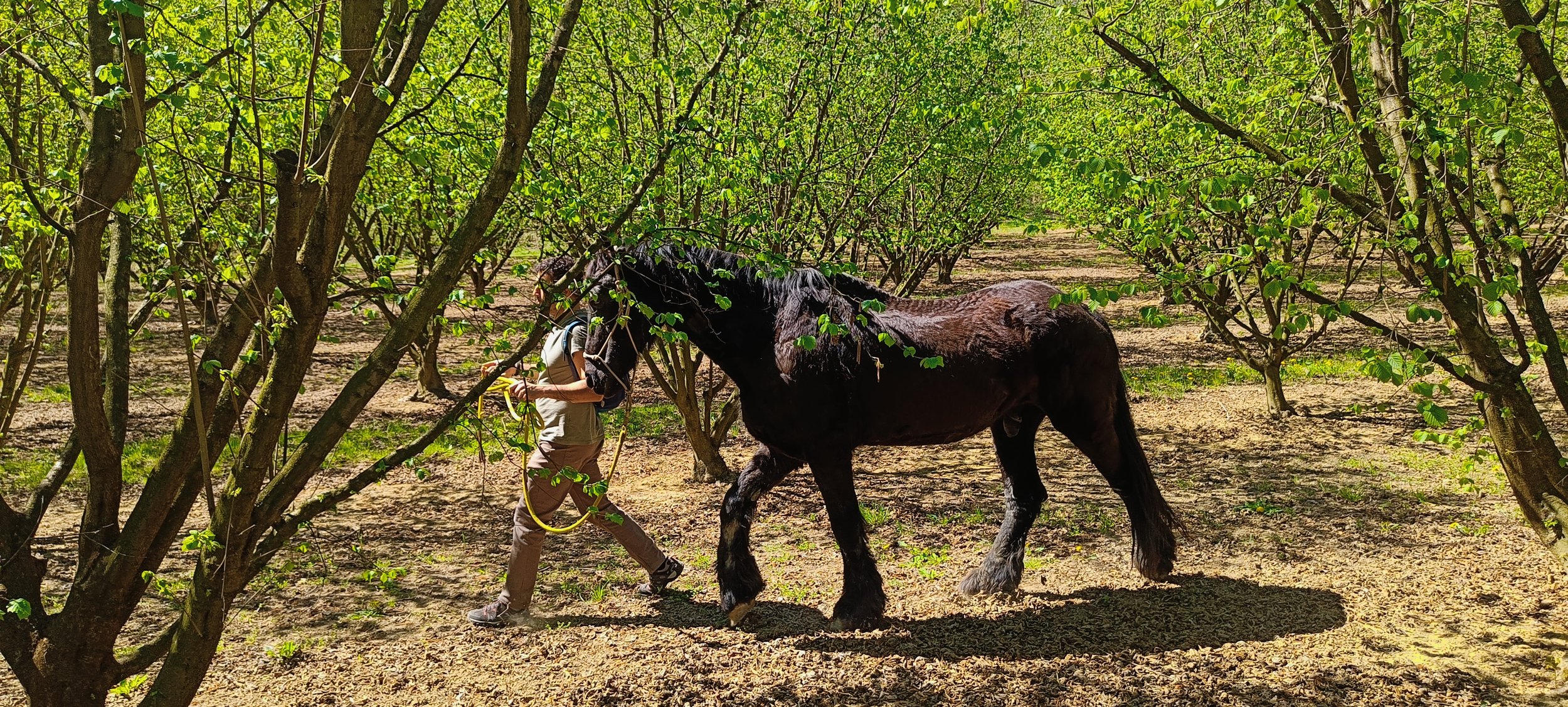 IMG20230402123613 (1).jpg