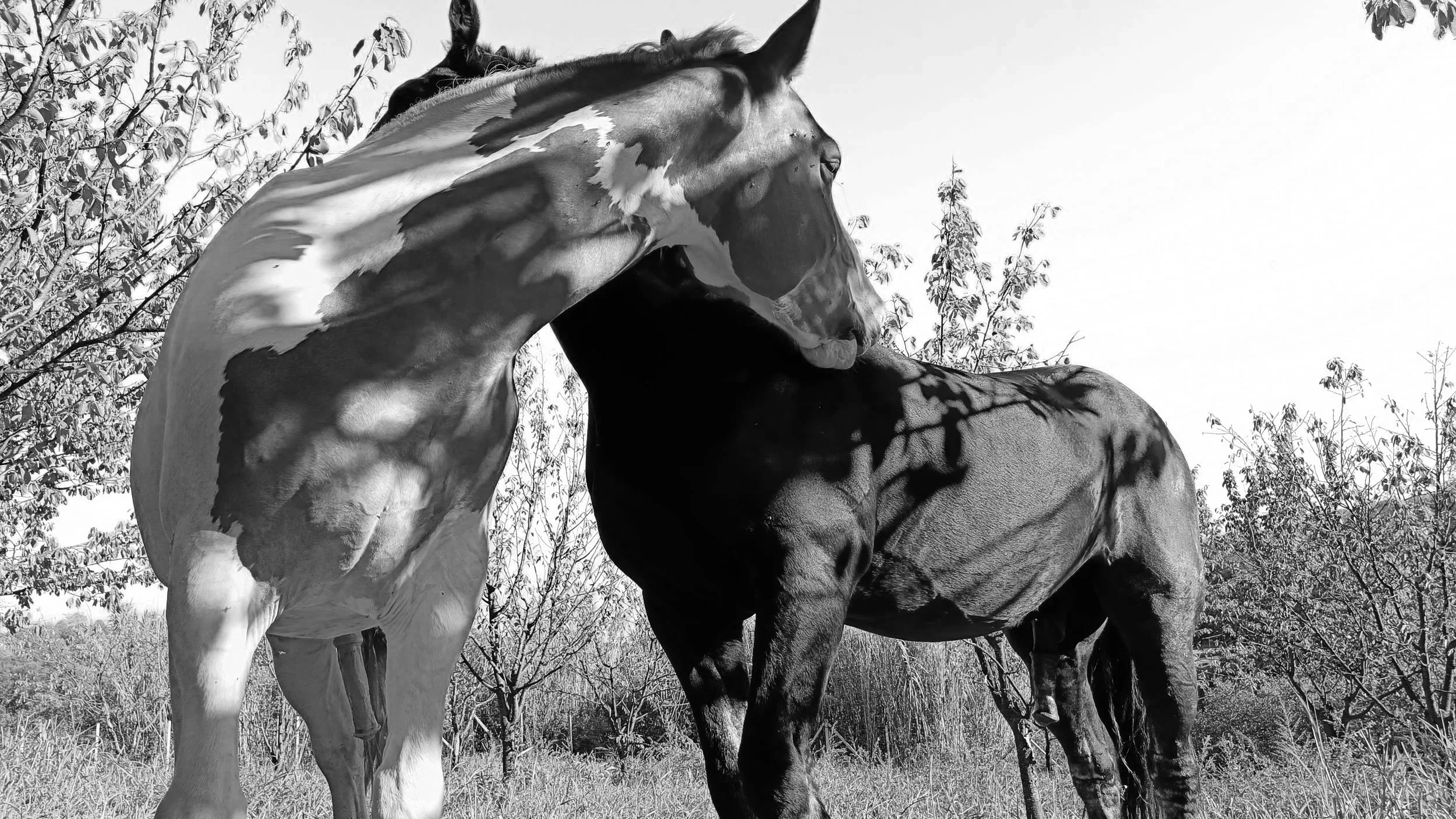 IMG20221001164854_01 (1).jpg