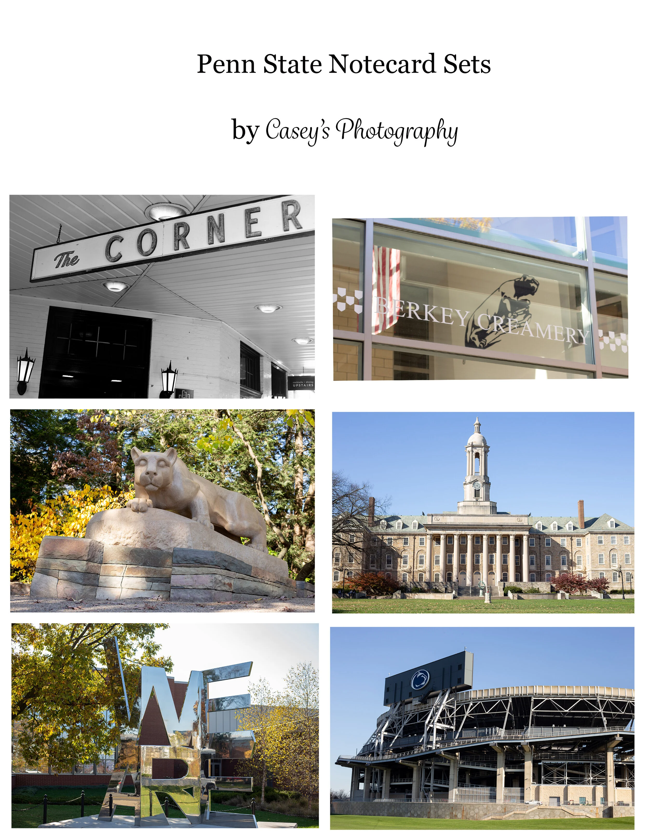 IMAGE SHEET FOR LOCAL-PENN STATE.jpg
