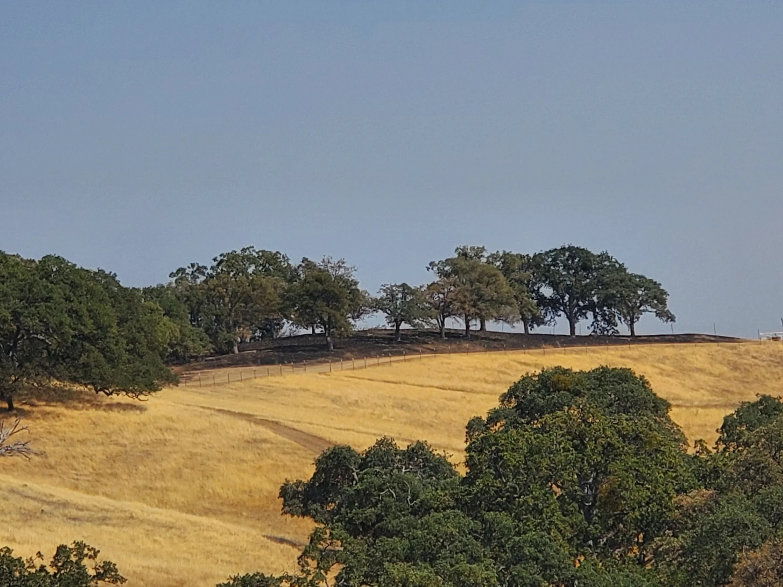 SCU Fire Birdhouse Ranch — Birdhouse Ranch