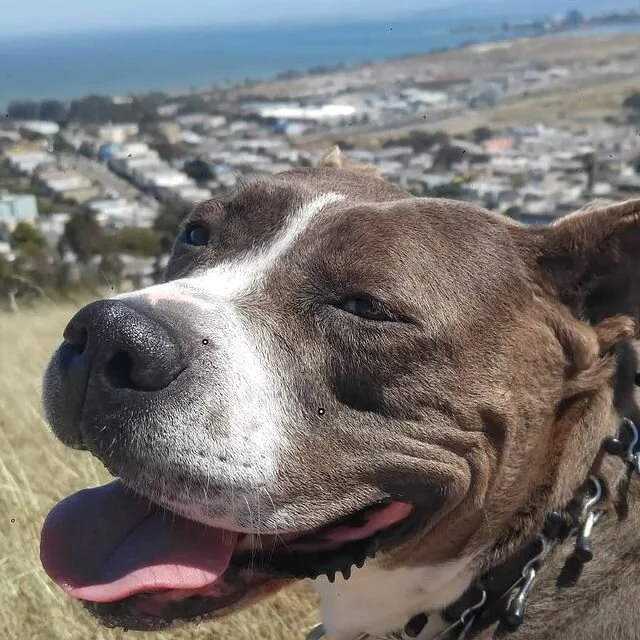 Quarterly Ranch Update