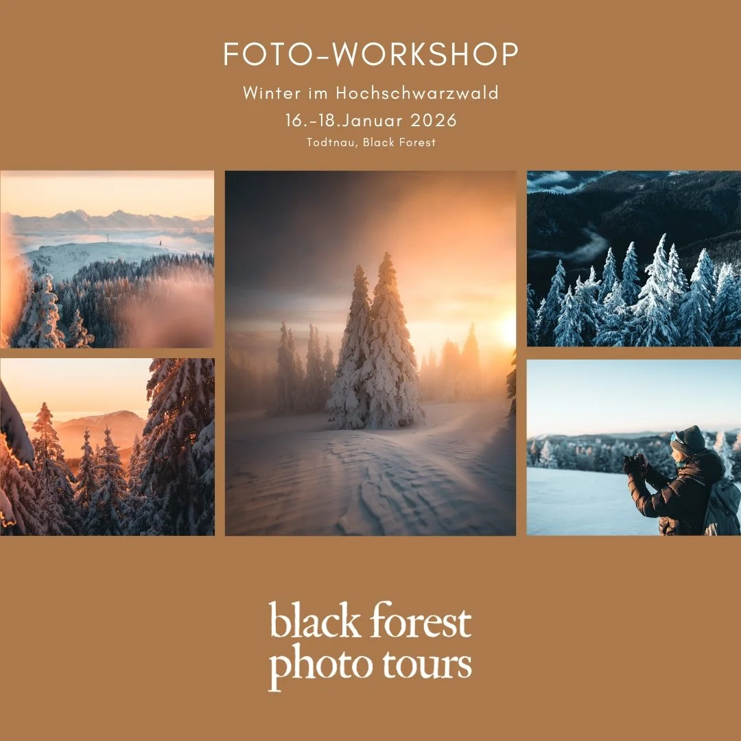 Foto-Workshop Winter im Schwarzwald.jpg