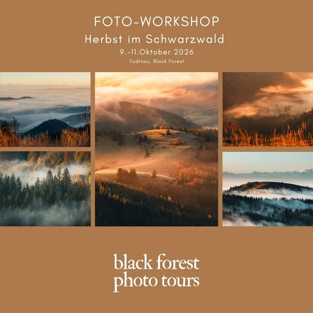 Foto-Workshop im Schwarzwald Oktober 2026.jpg