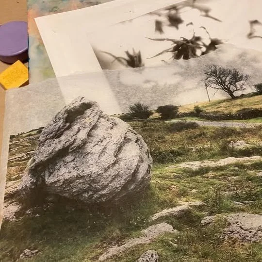 CLS-Collage-Tissue-Explain.jpg