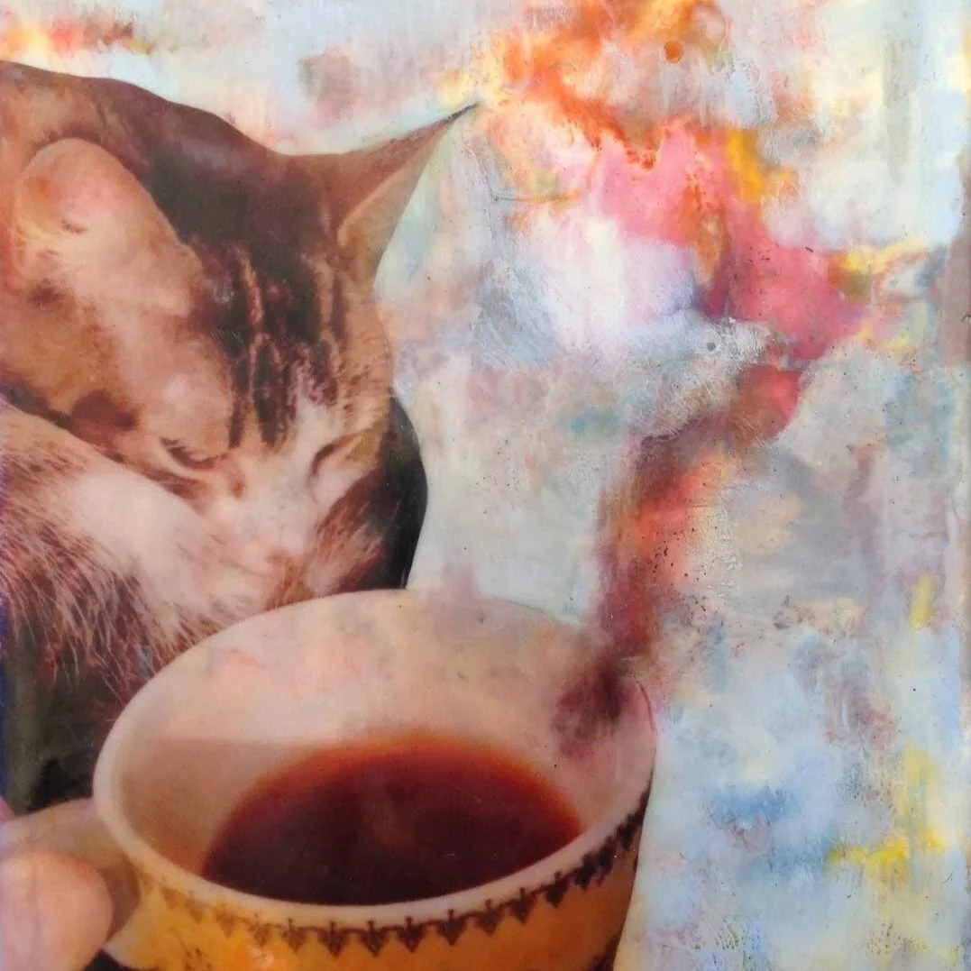cls_collage-cat.jpg
