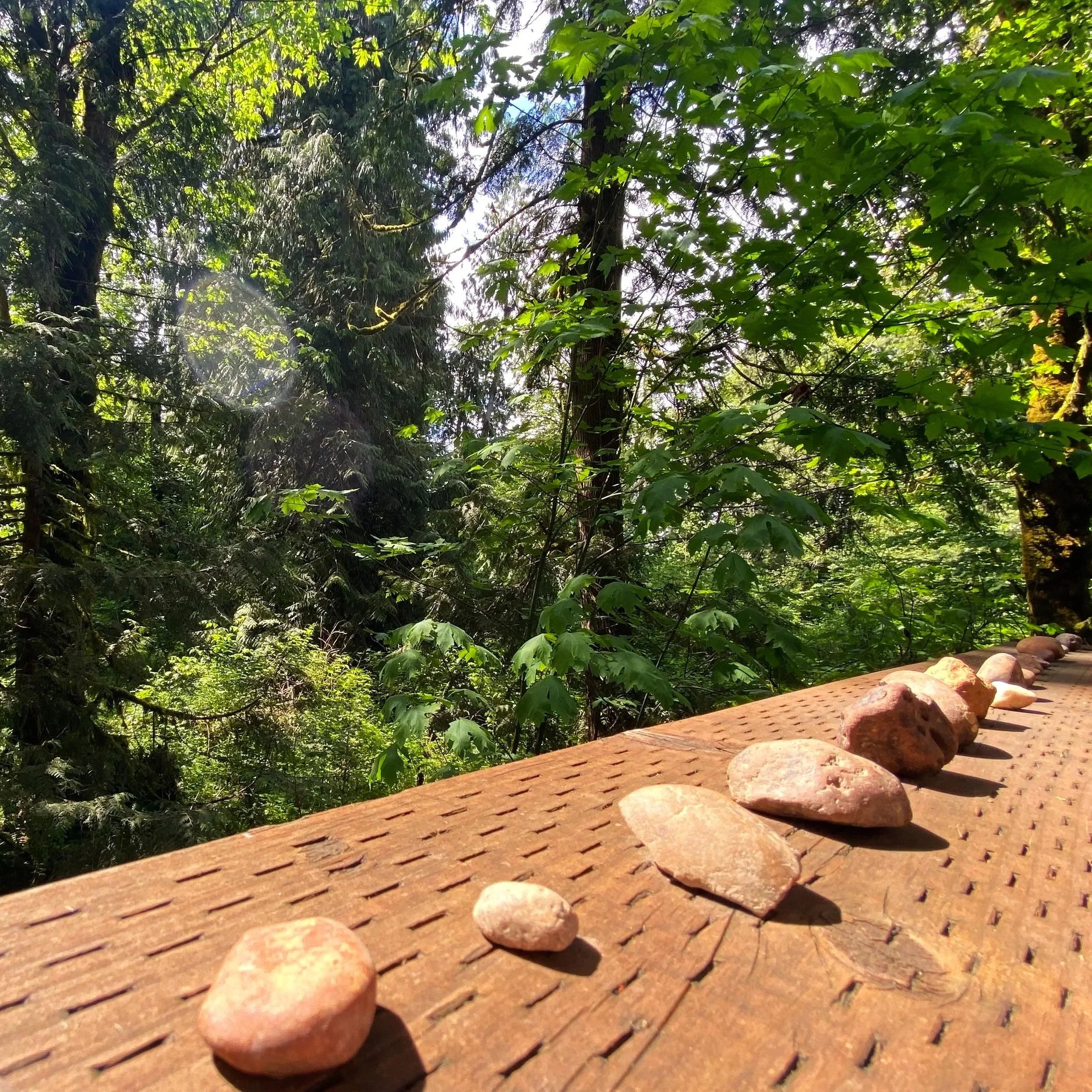 Residency at The Verdancy Project