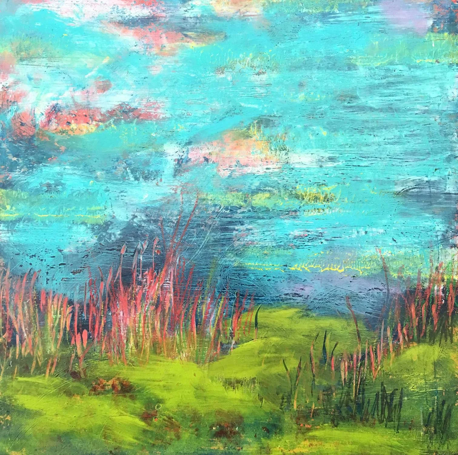 cls_coldwax-meadow.jpg