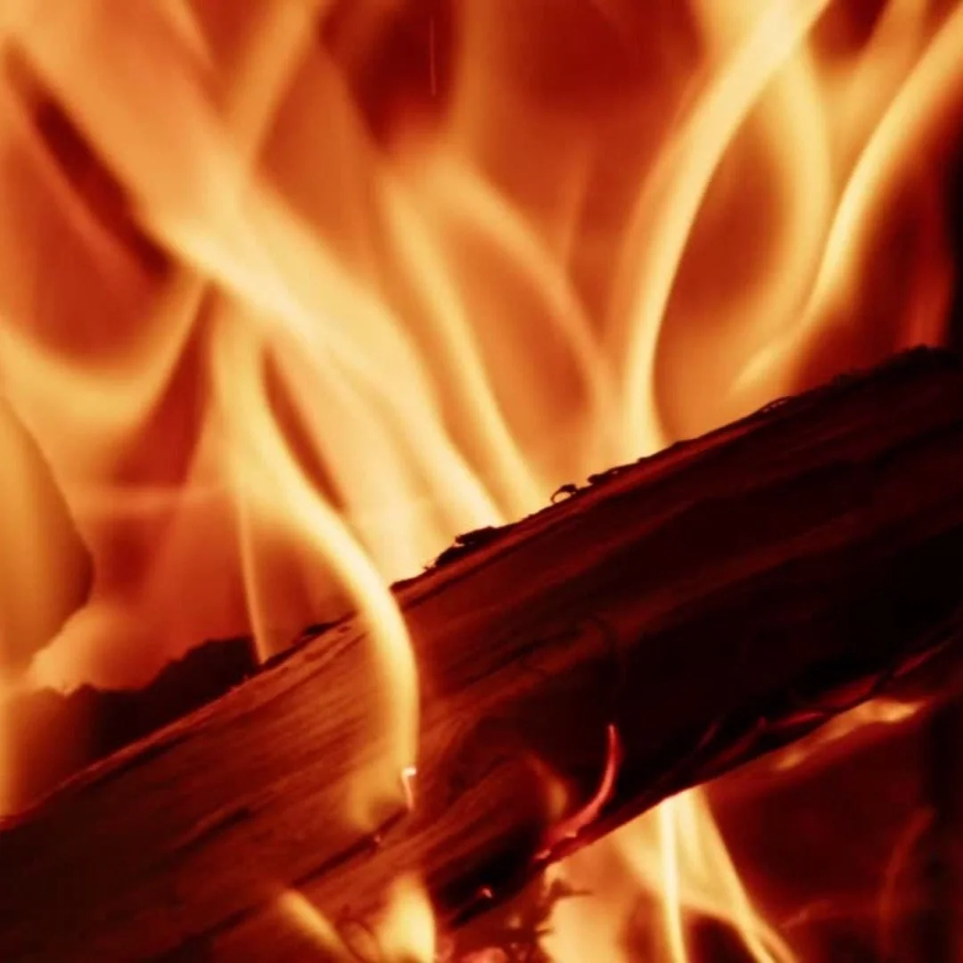 Painting with Fire Info Session