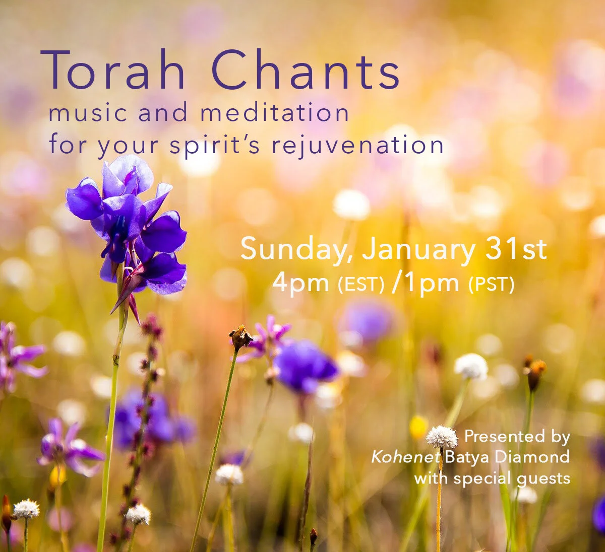 Torah Chants - Wisdom in the Natural World