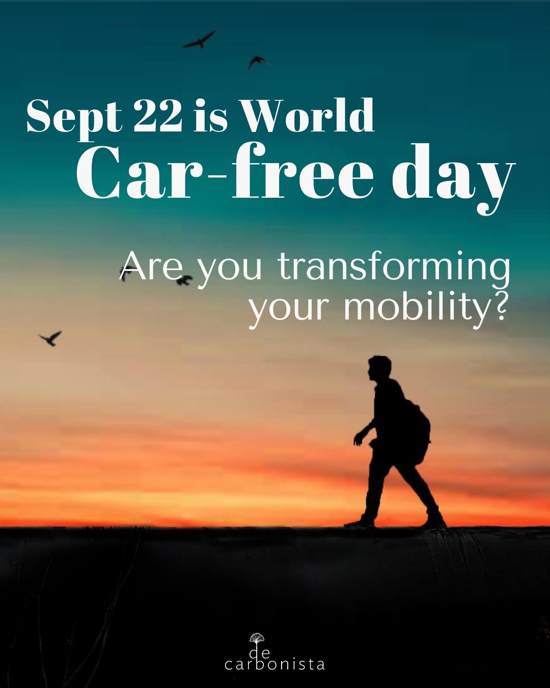 Can you imagine your life without using a car? 

What if we needed to start to building our happy lives without using vehicles? What would you need to change? What would you need to vote for? 

What can you do today to take one step toward having a c