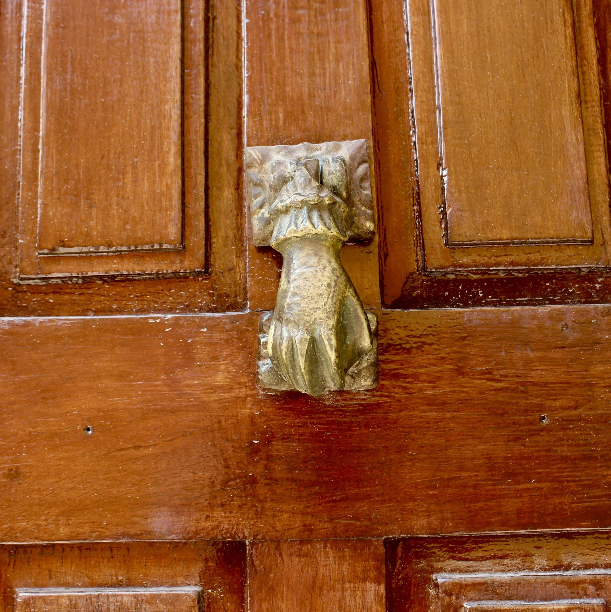 The Out-In-The-Open, Hidden Gem in Mexico