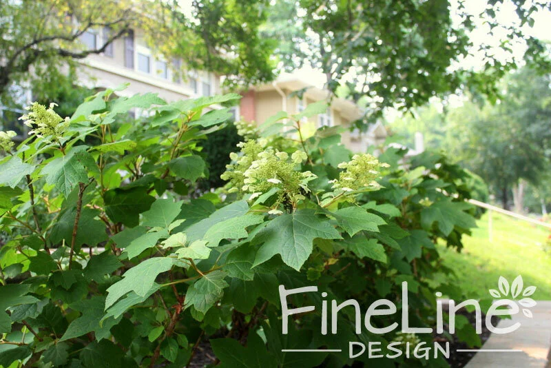 Kansas-City-Landscaping,-FineLine-Design,-terraced-walls,-sloped-front-yard,-landscaping-for-hills,-brookside.jpg