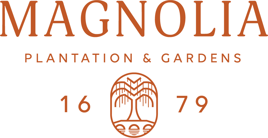 Magnolia-Logo@4x.png